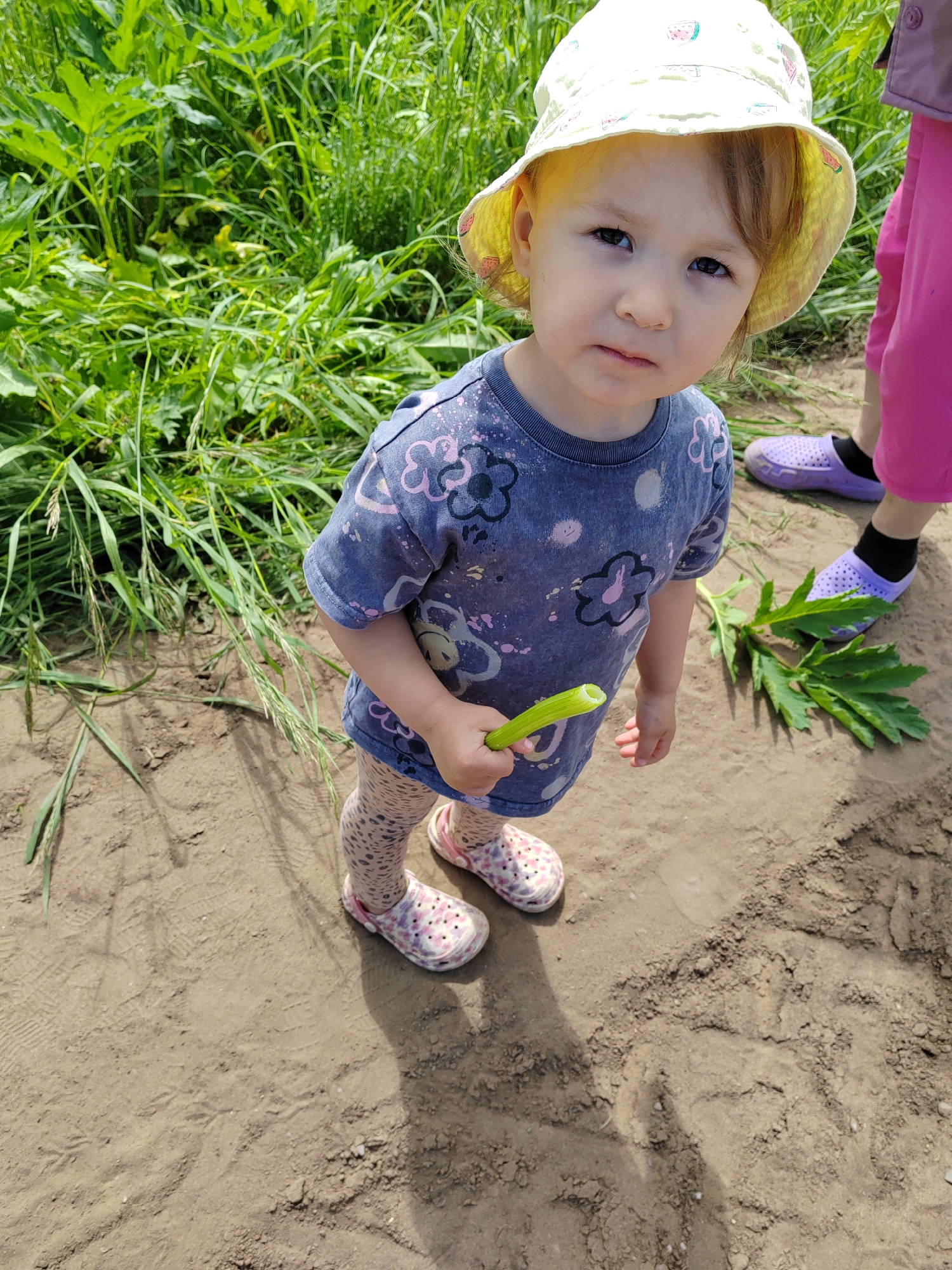 An outdoor scene, likely a rural or field edge in the city of Unknown, Unknown, under bright daylight conditions. A young child, approximately 2-4 years old, stands centrally, facing the camera with a neutral expression. The child wears a light-colored bucket hat patterned with watermelons, a dark blue short-sleeved t-shirt with light-colored floral and dot patterns, light-colored patterned leggings, and pink and white Crocs-style sandals. In their right hand, they hold a short, hollow, light green plant stem. To the right, the lower legs and feet of a second individual are visible, wearing pink pants, black socks, and purple Crocs-style sandals. The ground consists of dry, light brown soil with visible texture and faint footprints. A large, dark green leaf, detached from a plant, lies on the ground near the second individual's feet. The background features dense, vibrant green foliage, comprising various grasses and broadleaf plants, suggesting an untamed natural environment. Distinct shadows are cast on the ground, indicating direct sunlight from an elevated position.