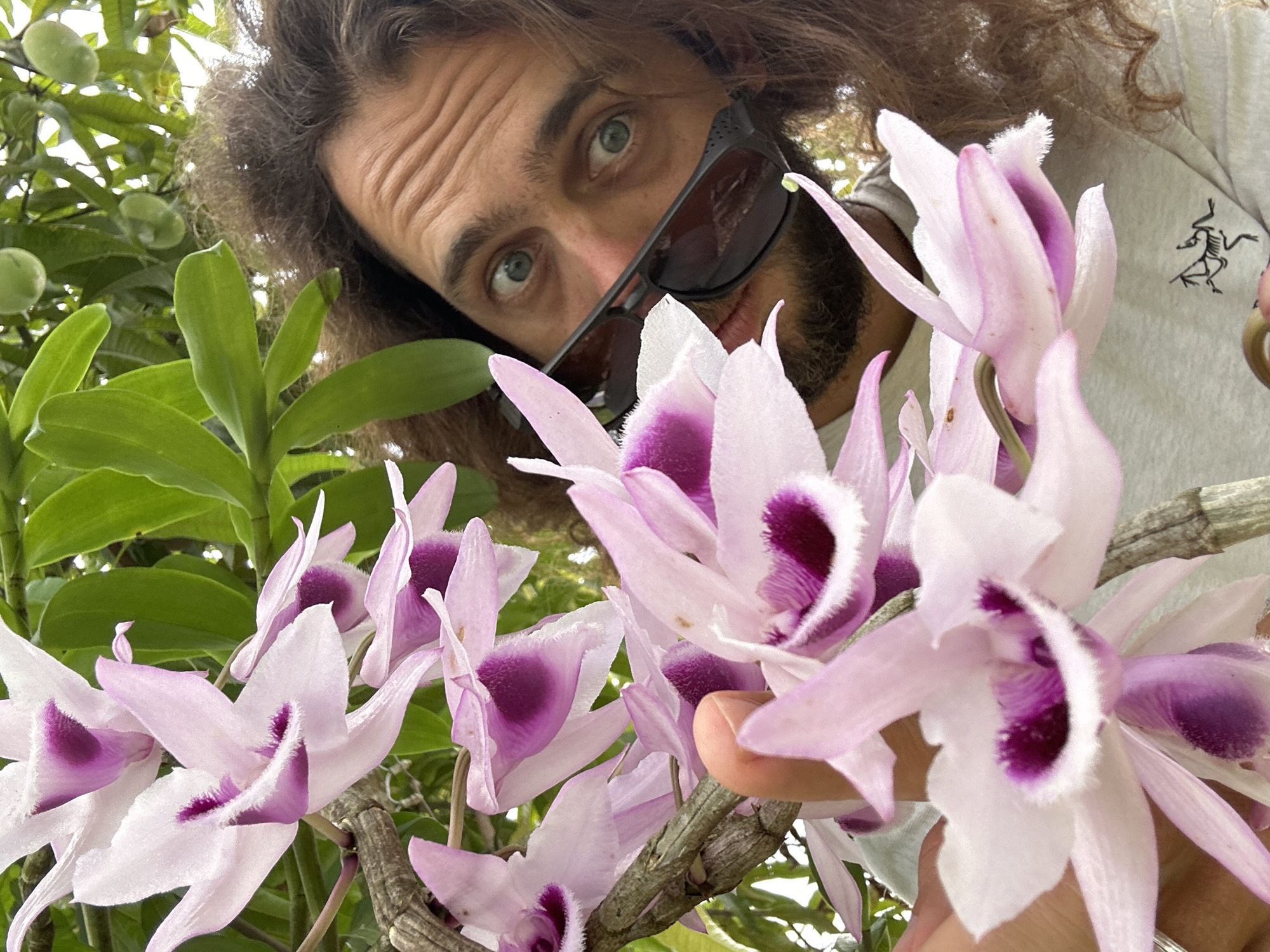The image, taken in Nghia Lo Ward, Vietnam, depicts a close-up scene featuring a person among flowering plants. A cluster of light pink orchids, each with a prominent dark purple, fuzzy labellum, dominates the left and central foreground, growing on a visible brown, textured stem. A hand with light skin tone is partially visible, positioned near or touching an orchid stem. In the upper right quadrant, a person with long, curly brown hair and a beard looks directly at the camera, their wide, light-colored eyes visible above dark-rimmed sunglasses. The individual is wearing a light gray t-shirt with a black Arc'teryx logo displayed on the right chest. Green foliage is present throughout the background, with several spherical green fruits visible on a tree in the upper background, indicating an outdoor natural environment.