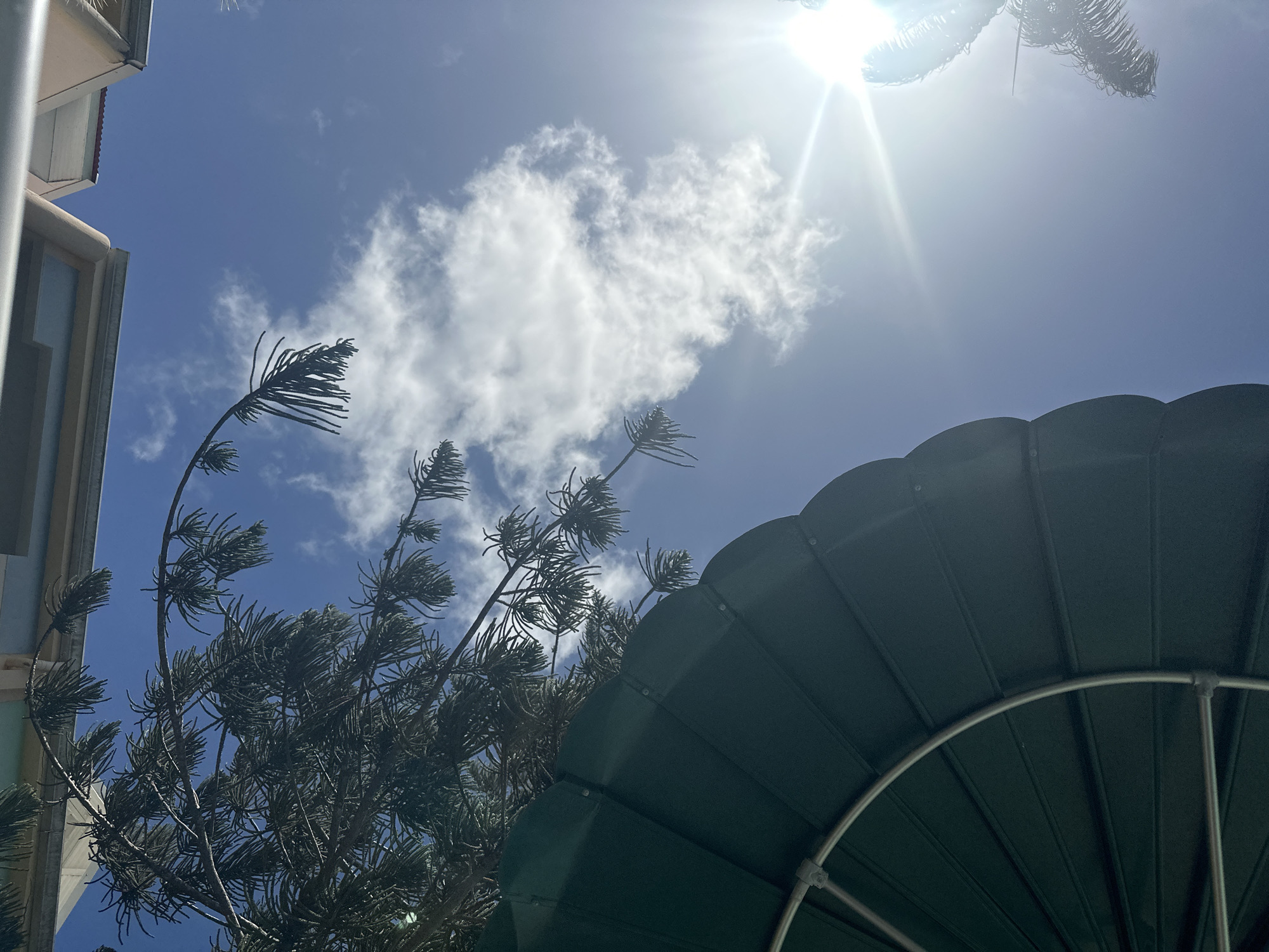 The image, taken from a low angle, features a bright sunny sky with a few white clouds. A building is visible on the left side of the frame. In the foreground is a dark green, circular awning or umbrella-like structure, partially obscuring the view. A tree with distinctive, needle-like foliage is positioned between the building and the awning. The location is Le Gosier, France.