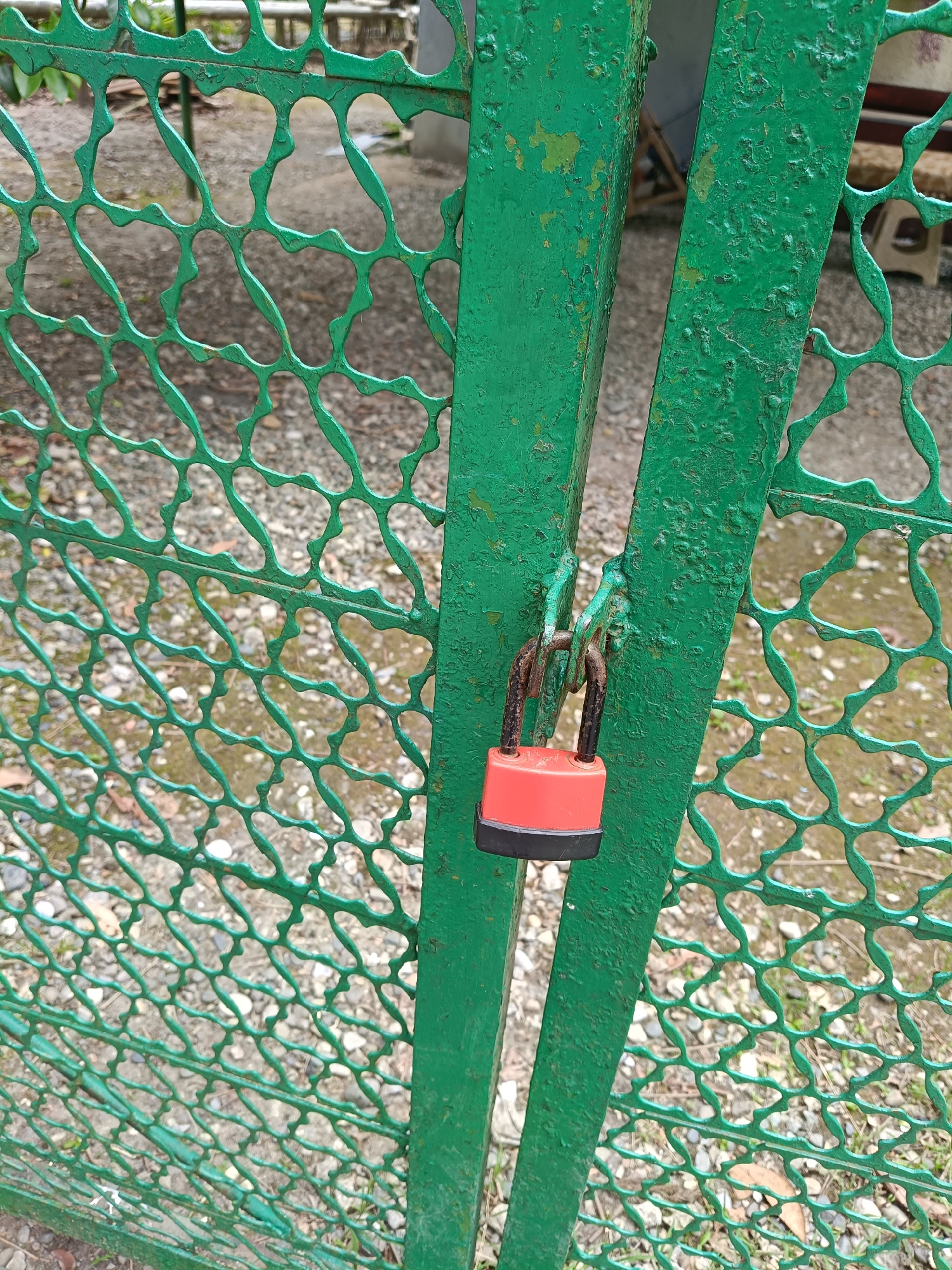 A close-up shot focuses on a bright red padlock with a black base, securely fastened to a green metal gate. The gate, made of wrought iron with an intricate, organic lattice pattern, shows signs of age with chipped and peeling green paint, revealing rust underneath in places. The padlock is attached to the gate's locking mechanism, preventing it from opening.
The background is blurred, suggesting a shallow depth of field. It appears to be an outdoor setting, possibly a garden or yard, with gravel and scattered debris on the ground. Faintly visible in the background are hints of other structures or foliage, but they are indistinct. The lighting suggests it is daytime, with no strong shadows indicating a specific time of day. The overall impression is one of security and closure, with the locked gate creating a barrier. No people are visible in the frame, and the focus remains solely on the gate and padlock. The context provided, Sochi, Russia, does not offer specific visual cues within the image itself. No text is visible.