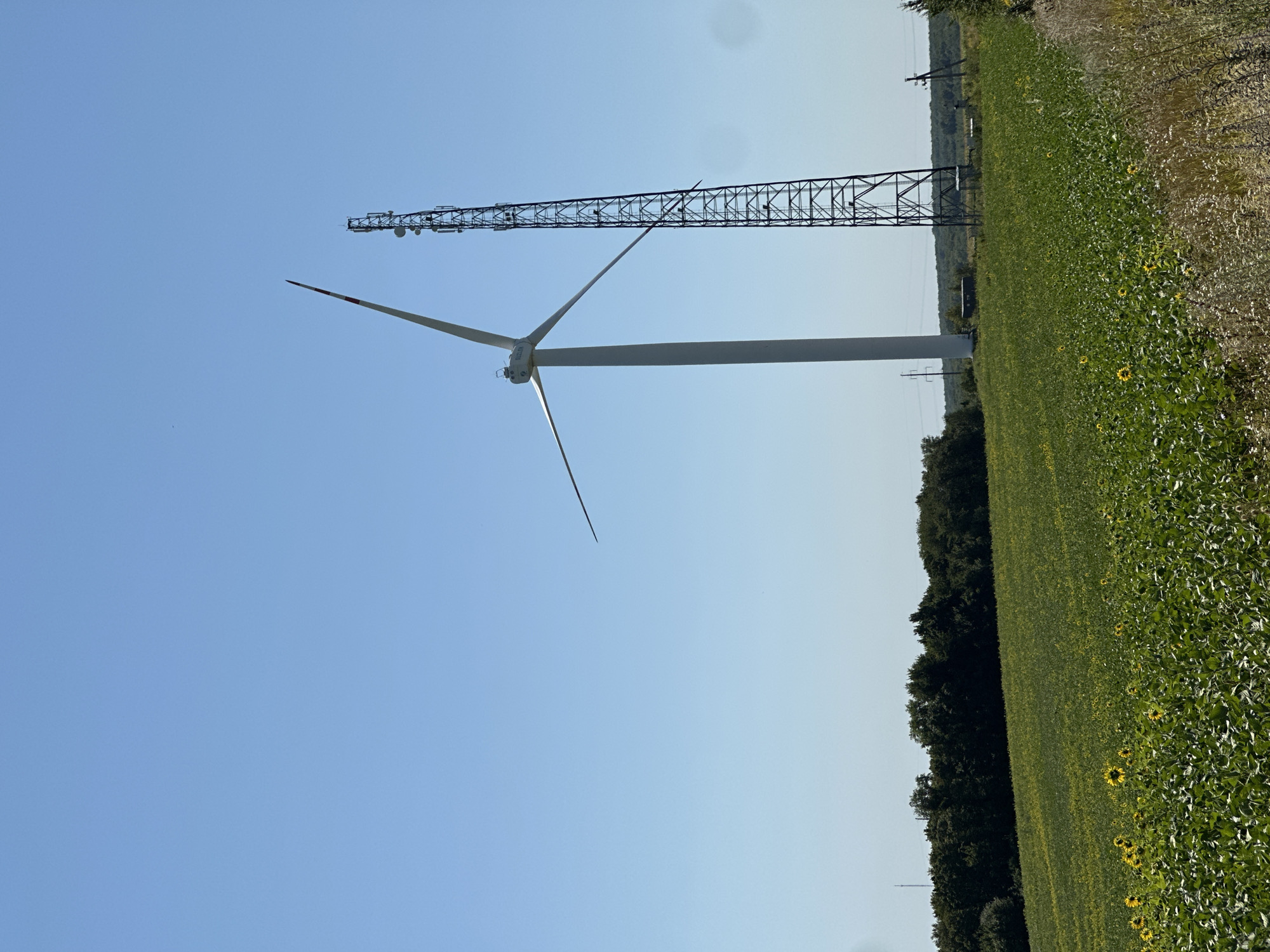 An outdoor, eye-level, medium shot captures a wind turbine and a cell tower standing in a field under a clear blue sky. The wind turbine is tall and white, with three blades, one of which is angled upwards, its tip painted with red and white stripes. To the right of the turbine is a tall, lattice-style cell tower with multiple antennas. The foreground is a lush green field dotted with numerous sunflowers, some in bloom. In the background, a dense line of trees forms a dark green horizon. The scene is located in the village of Korchivka, Ukraine. There are no people visible in the image.