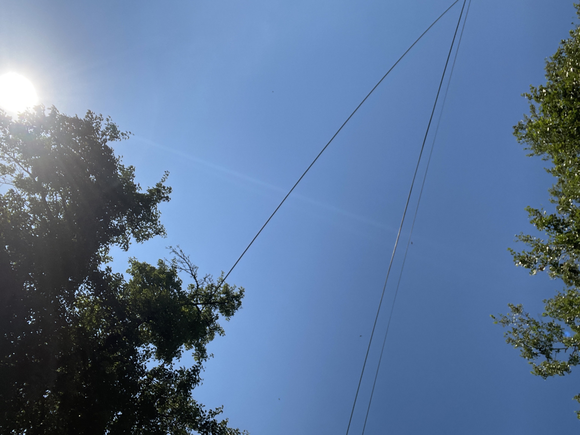 A wide-angle shot captures a clear blue sky with several power lines stretching across it. The tops of trees, with green leaves, are visible in the upper and lower portions of the frame, and the sun is shining brightly in the lower left corner.