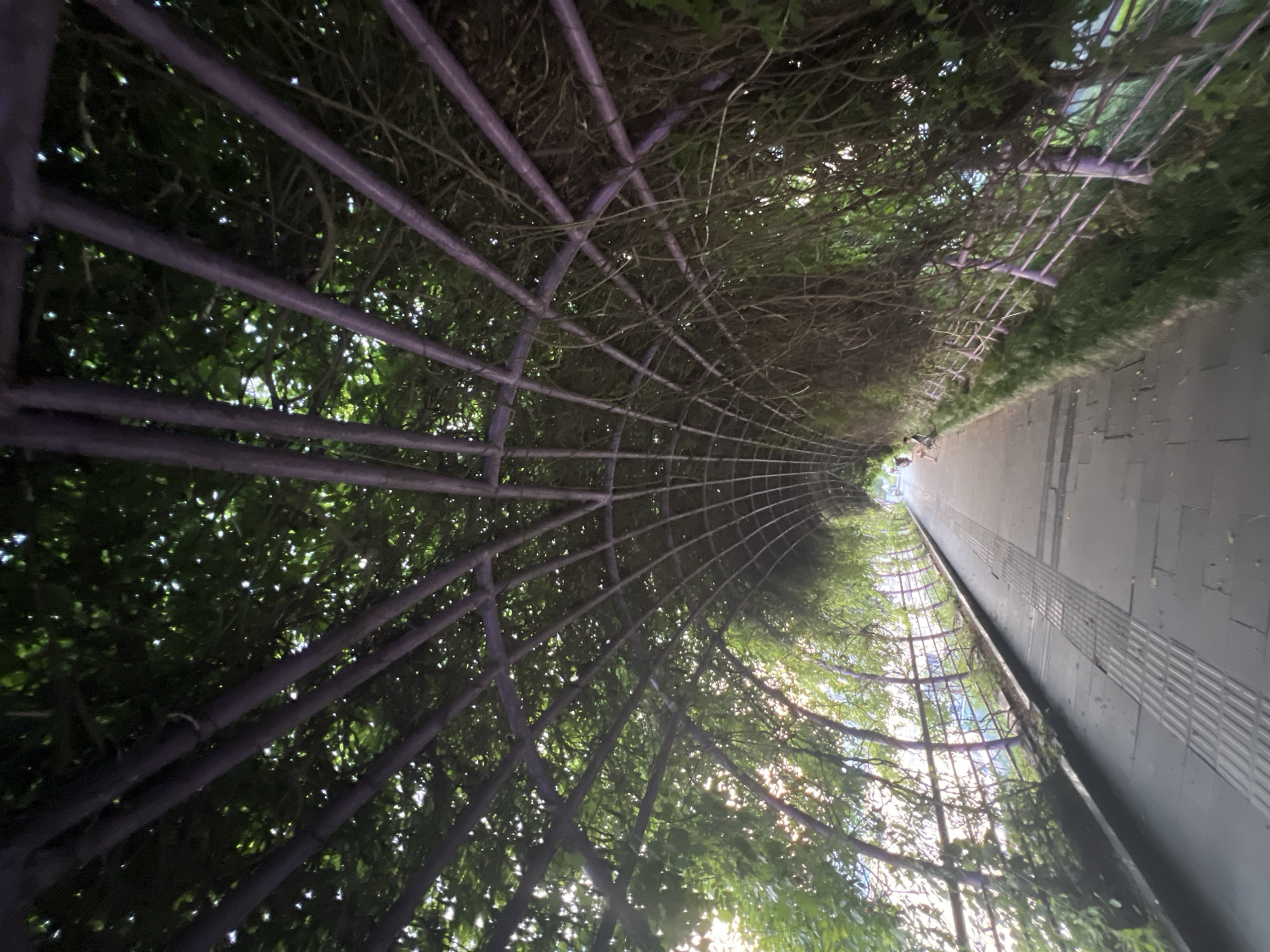 A straight perspective shot looks down a paved walkway through a long, arched trellis covered in green foliage. The trellis structure is made of thin, purple metal bars, forming a tunnel shape overhead and along the sides. The walkway is paved with dark gray tiles, and a tactile paving strip runs along its left edge. On the right side of the walkway, a low, metal fence with purple posts separates it from a strip of green grass. Sunlight filters through the leaves, creating dappled patterns on the walkway and illuminating the greenery. In the distance, a person is seated on a bench to the left of the walkway. The overall scene suggests an outdoor public space, possibly a park or promenade, located in Nan'an District, China.