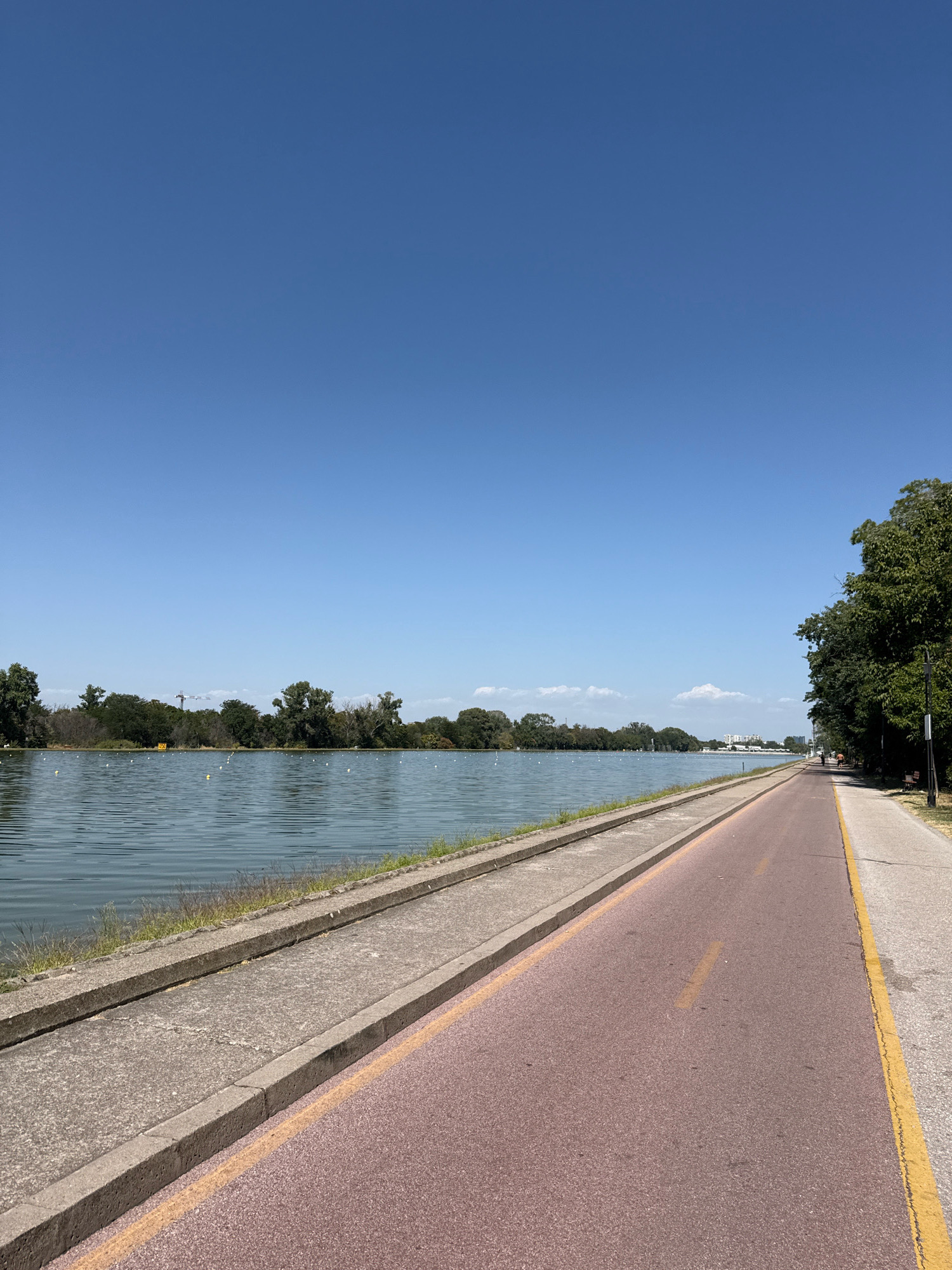 The image depicts a park path next to a body of water on a clear, sunny day. The path is divided into two sections: a paved walkway with a pinkish-red surface marked with a yellow line, and a concrete walkway separated by a curb. The body of water, appearing to be a lake or wide river, reflects the blue sky. Across the water, a dense line of trees forms the far bank. In the distance, a few buildings and a construction crane are visible. To the right of the path, lush green trees line the edge of the park. A lamppost and a park bench are also present. The overall scene suggests a recreational area in a city, possibly for walking, cycling, or other outdoor activities.