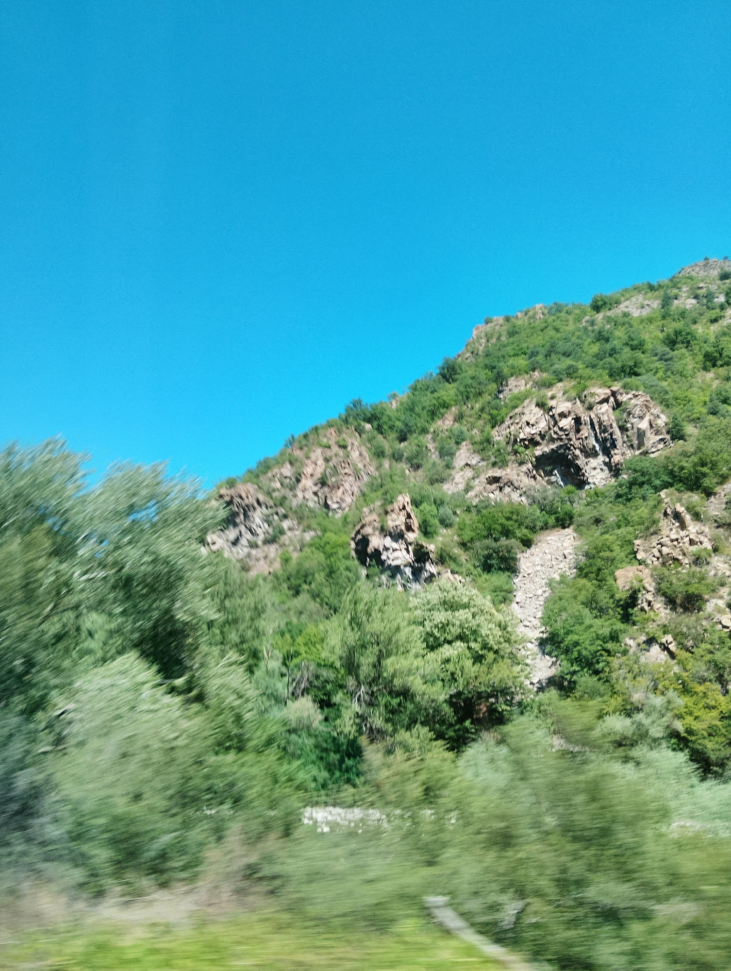 The image captures a steep, rocky mountainside covered in lush green vegetation under a clear, vibrant blue sky. The lower part of the frame shows a blurred foreground of green foliage, suggesting movement. The mountain itself is characterized by exposed rock formations interspersed with trees and shrubs. The perspective indicates the photo was taken from a lower elevation, looking upwards at the mountain. The scene is devoid of any human presence or man-made structures, focusing solely on the natural landscape. This appears to be a natural mountainous area, possibly a natural park or undeveloped terrain.