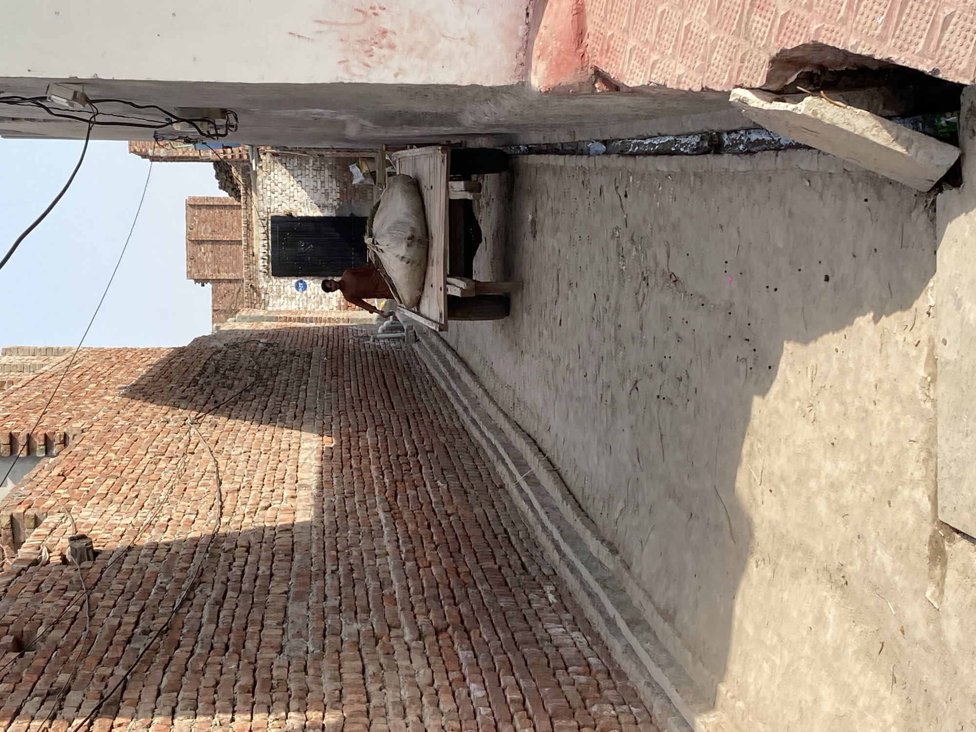 The image depicts a narrow, sunlit pathway in what appears to be a rural or semi-urban setting, consistent with Chak 166 GB, Pakistan. The path is predominantly paved with reddish-brown, irregularly laid bricks.
In the foreground and mid-ground, a man is actively engaged with a wooden handcart. He wears a light brown or tan shirt and is positioned behind the cart, suggesting he is pushing or guiding it. The cart itself is laden with a large, light-colored sack, possibly containing agricultural produce or goods.
To the left, a tall wall constructed of textured red bricks extends along the path, partially bathed in direct sunlight and casting a long shadow. On the right, an older, light-colored concrete or plastered wall runs parallel, also showing areas of sunlight and shadow. Further down the path on the right, debris and a broken concrete slab are visible near the wall.
In the background, beyond the man and cart, several brick structures and buildings are discernible, hinting at a small settlement. Overhead, in the upper left, a network of electrical wires and a junction box are attached to a white wall or ceiling, with wires trailing downwards. The sky is bright and clear, indicating a sunny day, likely midday due to the harsh shadows cast by the structures and the man. A faint blue circular sticker is visible on the wall behind the man, but any text on it is illegible. The scene captures an everyday moment of labor and transportation in a modest environment.
