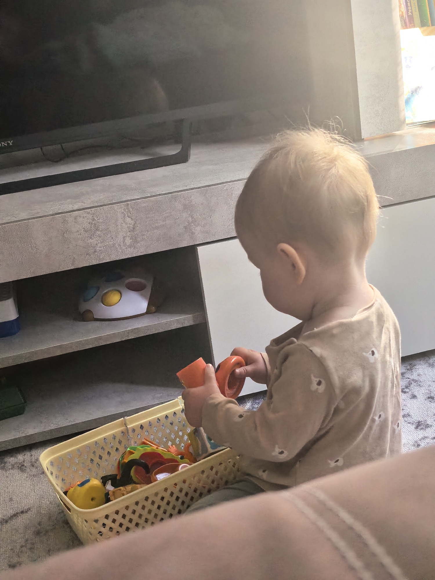 A toddler stands on a carpeted floor in front of a gray entertainment center. The toddler, wearing a light brown shirt with small white floral patterns, is holding two orange circular toys and reaching towards a beige plastic basket filled with colorful toys. The entertainment center has a black television on top and shelves beneath. A white toy with colored dots rests on the top shelf. Sunlight streams in from a window behind the entertainment center. There is no information available to identify the city of Sterlitamak, Russia.