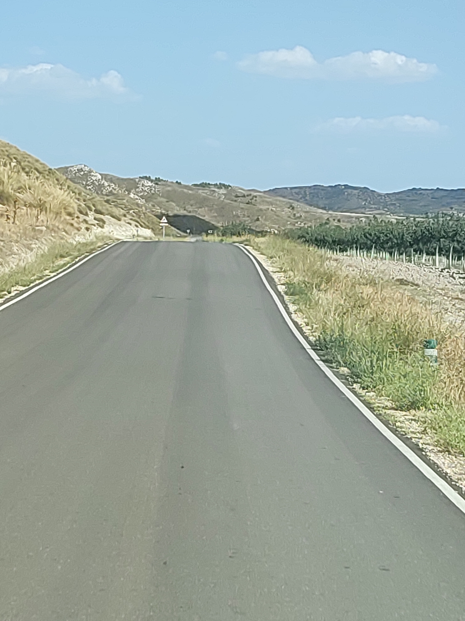 The image depicts a two-lane asphalt road curving to the right, bordered by a white line on the right side and a grassy verge on the left. The road appears to be in a rural area, with dry, golden grass and some vegetation lining the roadside. In the background, rolling hills are visible under a clear blue sky with scattered white clouds. A vineyard or orchard with rows of trees is present on the right side of the road, separated from the road by a strip of dry grass. A triangular road sign with a black symbol is positioned on the left side of the road in the distance, indicating a turn or hazard. There are no people or vehicles visible in the image.
