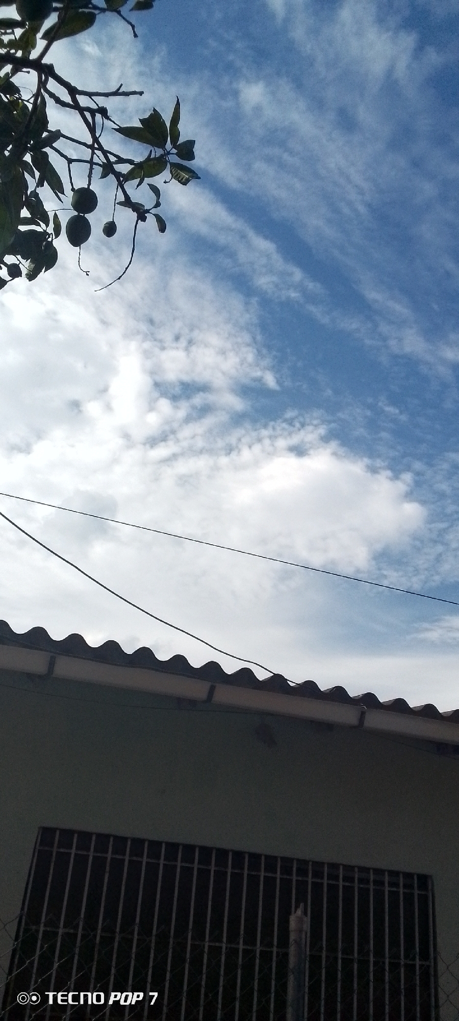 The image shows a daytime scene in Altagracia, Venezuela. In the foreground is the exterior of a building with a window covered by a metal security grill. The roof of the building has a wavy, corrugated edge. Above the building and against the sky are two electrical wires. The sky is partly cloudy, with patches of blue visible. A tree branch with green mangoes and leaves is visible in the upper left corner. A logo "Tecno POP 7" is visible at the bottom left.