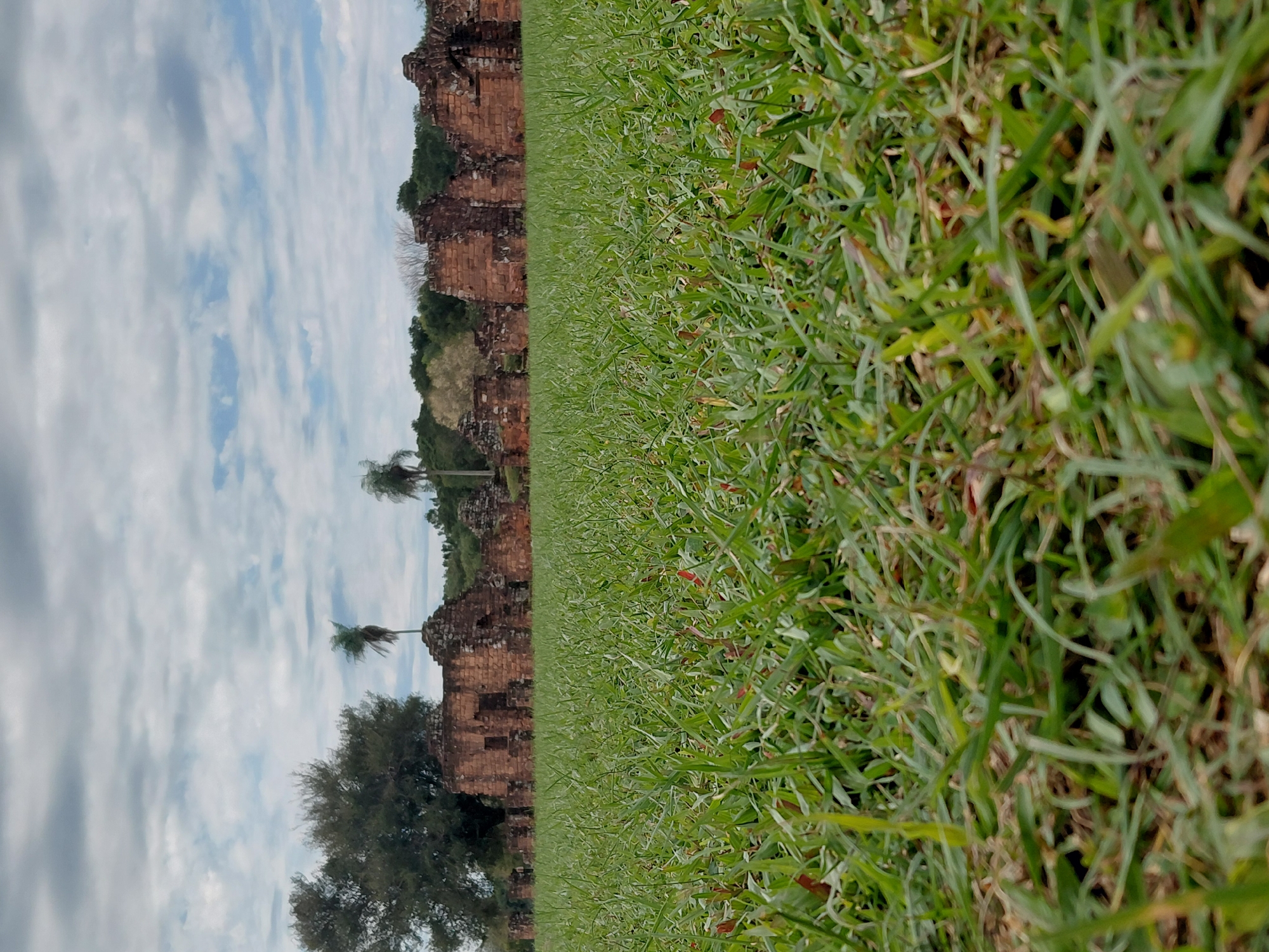 The image shows the ruins of a Jesuit mission in Trinidad, Paraguay, on a cloudy day. The foreground is dominated by a lush green lawn, with the camera positioned very low, giving a close-up view of blades of grass. In the mid-ground, the brick ruins of the mission stand, characterized by arched doorways and weathered walls. A large, leafy tree is visible to the left of the ruins. The background consists of a line of trees and a partly cloudy sky.