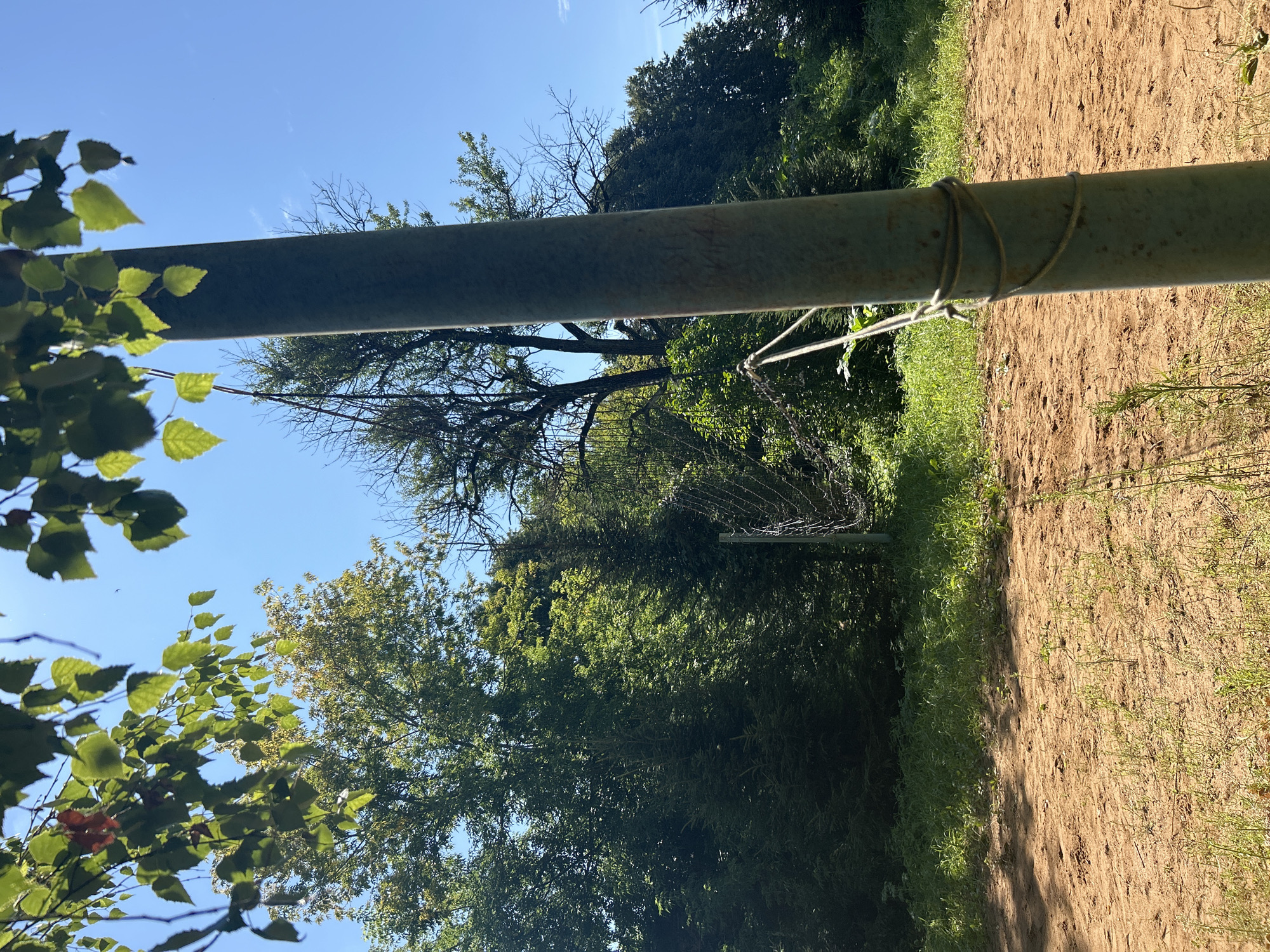 In an outdoor setting in the village of Kalitsino, Russia, a sandy court area is visible under a bright blue sky. The court is partially covered in sparse green grass. To the right of the frame, a thick, light green metal pole stands vertically, with a rope wrapped around its base. In the mid-ground, a wire fence, likely for a sports court, is strung between two poles, though one pole is not fully visible. Beyond the fence, a dense wall of various green trees and foliage creates a natural backdrop. The leaves of a tree in the upper left corner hang over the scene, casting dappled shadows. The overall impression is of an abandoned or seldom-used outdoor recreational space surrounded by abundant nature.