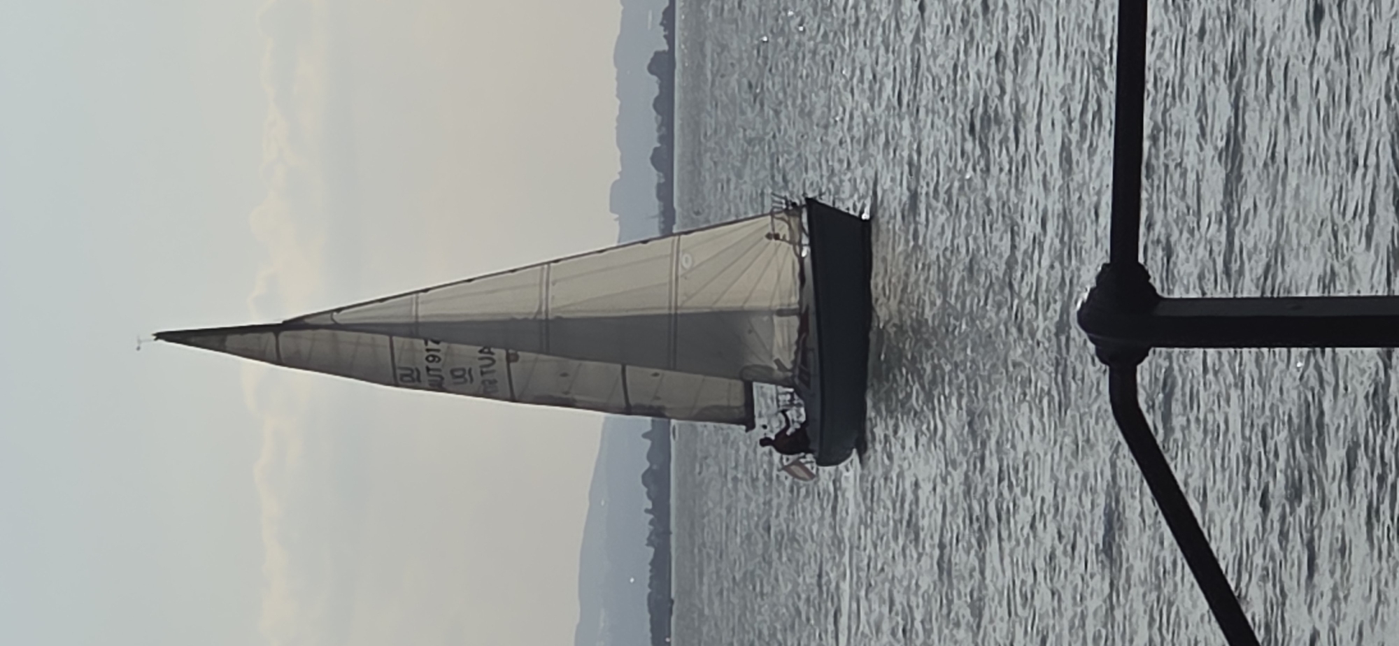 A sailboat with a single sail is moving across a body of water. The sail is partially translucent and displays some black lettering and numbers. A person, silhouetted and facing away from the camera, is seated at the tiller of the sailboat. The water is rippled, suggesting a light breeze. In the background, a distant shoreline with trees and hills is visible under a hazy sky. The foreground features a dark metal railing, partially obscuring the view of the water. The scene appears to be set in or near the city of Lochau, Austria, potentially on Lake Constance, given the geographical context associated with Lochau, Austria.