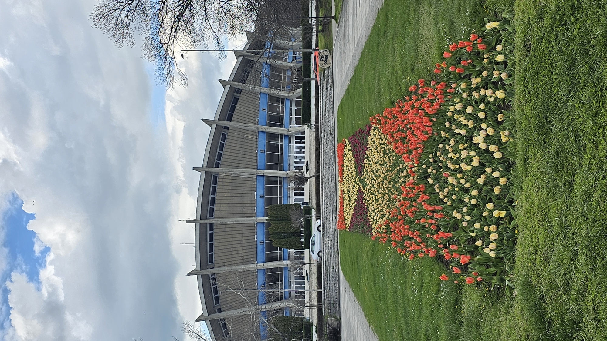 The image shows the Palace of Culture and Sports in Varna, Bulgaria, from a ground-level perspective. In the foreground, a flower bed full of yellow and red tulips sits next to a paved sidewalk, transitioning into a green lawn. A concrete and glass building with visible blue accents, identified as the Palace, is in the background, partially obscured by bare trees on the left and greenery near the center. A white car is parked along the building’s side. The sky, visible behind and above the building, is filled with white and gray clouds.