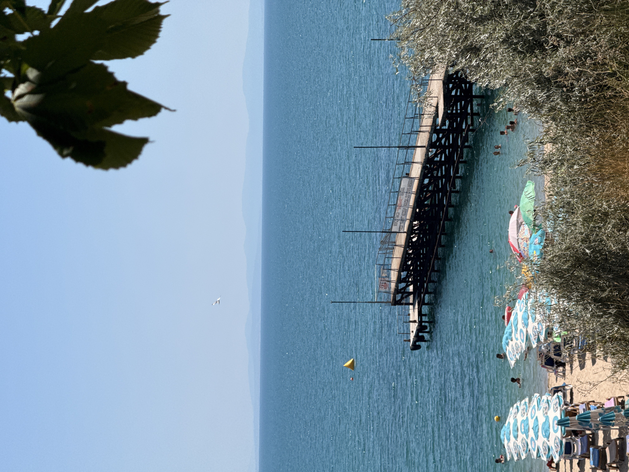 The image depicts a sunny day at a beach in Ravda, Bulgaria. The turquoise water of the Black Sea is calm, with a gentle sparkle reflecting the sunlight. A long, dark wooden pier extends into the water, its stilts submerged. Several people are swimming and enjoying the water near the pier.
On the sandy shore, numerous beach umbrellas and lounge chairs are set up, indicating a popular recreational spot. The umbrellas are a mix of white and blue patterns, some with decorative designs. A few people are visible on the beach, relaxing or preparing to enter the water.
In the distance, hazy mountains or hills are visible on the horizon, contrasting with the clear blue sky. A bird is soaring in the sky. The scene is framed by the leafy branches of olive trees, casting shadows on the water and pier, suggesting it is likely midday or early afternoon. The overall atmosphere is one of leisure and enjoyment of a summer day at the seaside. A yellow buoy floats in the water near the pier.
Visible text on a sign attached to the pier reads: "МОЛЯ НАДЯСНО ПОЧИВАЙТЕ СЕБЕ." This translates to "PLEASE REST ON THE RIGHT."