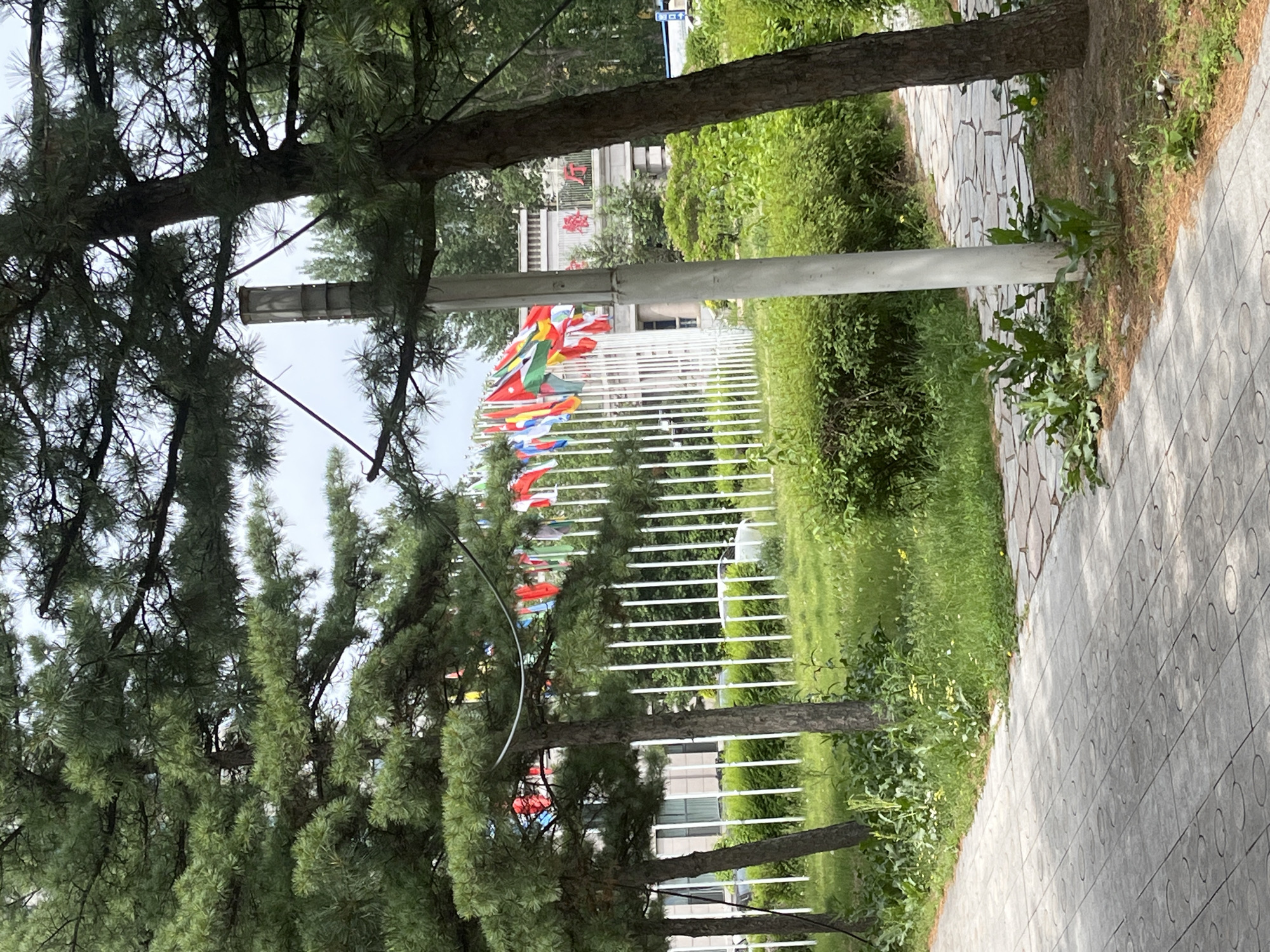 The image depicts a scene in Changchun City, China, featuring a paved walkway adjacent to a grassy area. White poles supporting colorful flags are visible in the background. Several trees frame the scene, with their branches and trunks partially obscuring the view. A building is also visible in the background behind the flags and poles.