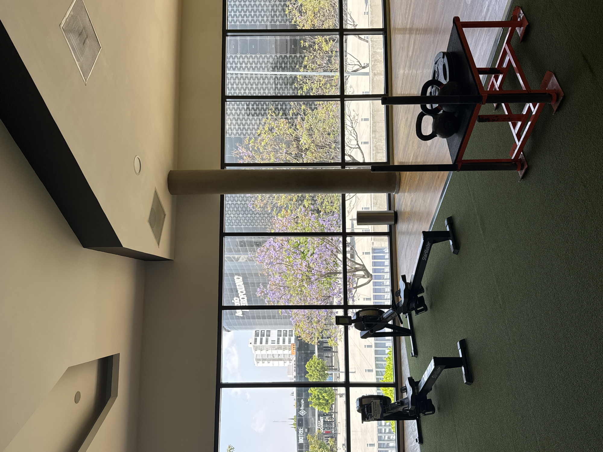 The image shows the interior of a gym. The walls are painted a light beige color. There is a triangular recessed section in the wall. There are large grid-patterned windows that look out onto a cityscape of Puebla, Mexico with large buildings and trees. In front of one set of windows is a red weight rack holding kettlebells and weight plates. In front of another set of windows are three rowing machines. The floor is a textured green.