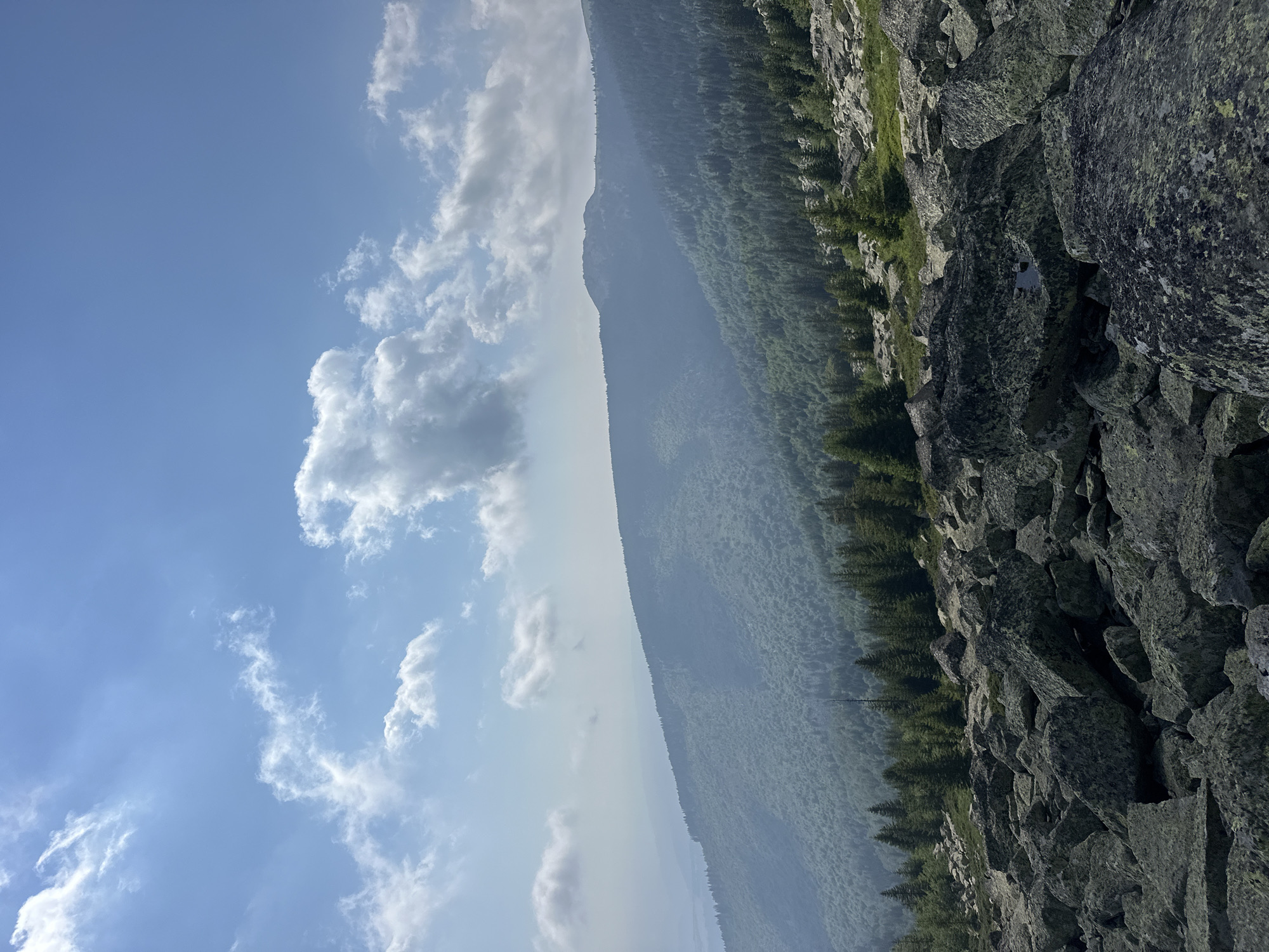 This is a wide-angle, eye-level shot of a mountainous landscape with a rocky foreground, taken on a clear, sunny day. In the foreground, large, gray boulders of various sizes dominate the scene, some covered in moss or lichen. Beyond the boulders, a dense evergreen forest covers the slopes of rolling hills. The forest appears lush and green, with individual trees clearly discernible. In the distance, the mountains recede, becoming hazier and lighter in color, suggesting a significant distance and perhaps atmospheric conditions. The sky above is a bright blue with scattered white cumulus clouds. The image appears to depict a natural, undeveloped area, likely a hiking trail or a viewpoint. It is plausible this is located in the Vitosha Mountain range near Bistritsa, Bulgaria, given the characteristic vegetation and terrain. There are no people or man-made structures visible in the image.