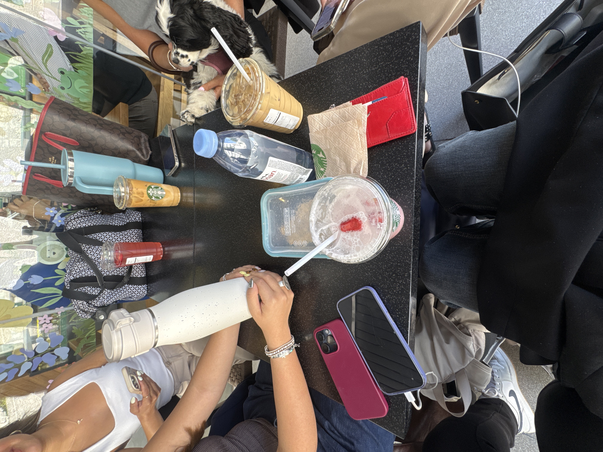 This image captures a high-angle view of a black, speckled tabletop crowded with personal items and beverages, occupied by at least four individuals at a cafe in Puebla, Mexico.
**People and Actions:**
On the upper-left, a female in a white tank top with a gold necklace holds a light-colored smartphone with light-green manicured nails. Her arm is positioned near a patterned black and white tote bag. Directly below her, another female's arm, dressed in a dark top and dark jeans, holds a tall, speckled white water bottle. This hand displays a silver charm bracelet and a silver ring. On the right side of the table, a person's hand is visible, gently holding a small, black and white dog, resembling a Cavalier King Charles Spaniel. At the bottom of the frame, the legs of a fourth individual are visible, clad in dark jeans and black footwear, with a black garment resting across their lap. White Nike sneakers and a gray tote bag are partially seen under the table.
**Objects on the Table (clockwise from upper-left):**
A light-colored smartphone with a matching case is in the hand of the top-left individual. Next to it, a clear plastic cup contains a red beverage. Behind the light-blue tumbler, a brown Coach tote bag with red handles is visible. A large, light-blue tumbler with a straw stands next to a clear Starbucks cup holding iced coffee with a white straw. A black smartphone lies face down near the iced coffee. An Evian water bottle with a blue cap is present. A clear plastic container, possibly a Starbucks reusable cup, holds a pink drink with a red fruit (strawberry) and a white straw. A crumpled light-brown Starbucks napkin or wrapper rests beside a red card holder/wallet. Two additional smartphones are on the lower-left: a dark red smartphone case and a light purple smartphone with its screen facing up, connected to a white charging cable. The speckled white water bottle is held by the individual on the left.
**Environment:**
The background features a brightly lit decorative panel or mural behind the table, displaying abstract floral and stylized animal motifs, including a green frog and a lion's head, in shades of blue, green, yellow, and white, suggesting a cafe or restaurant setting. The lighting is bright and natural, indicating daytime.