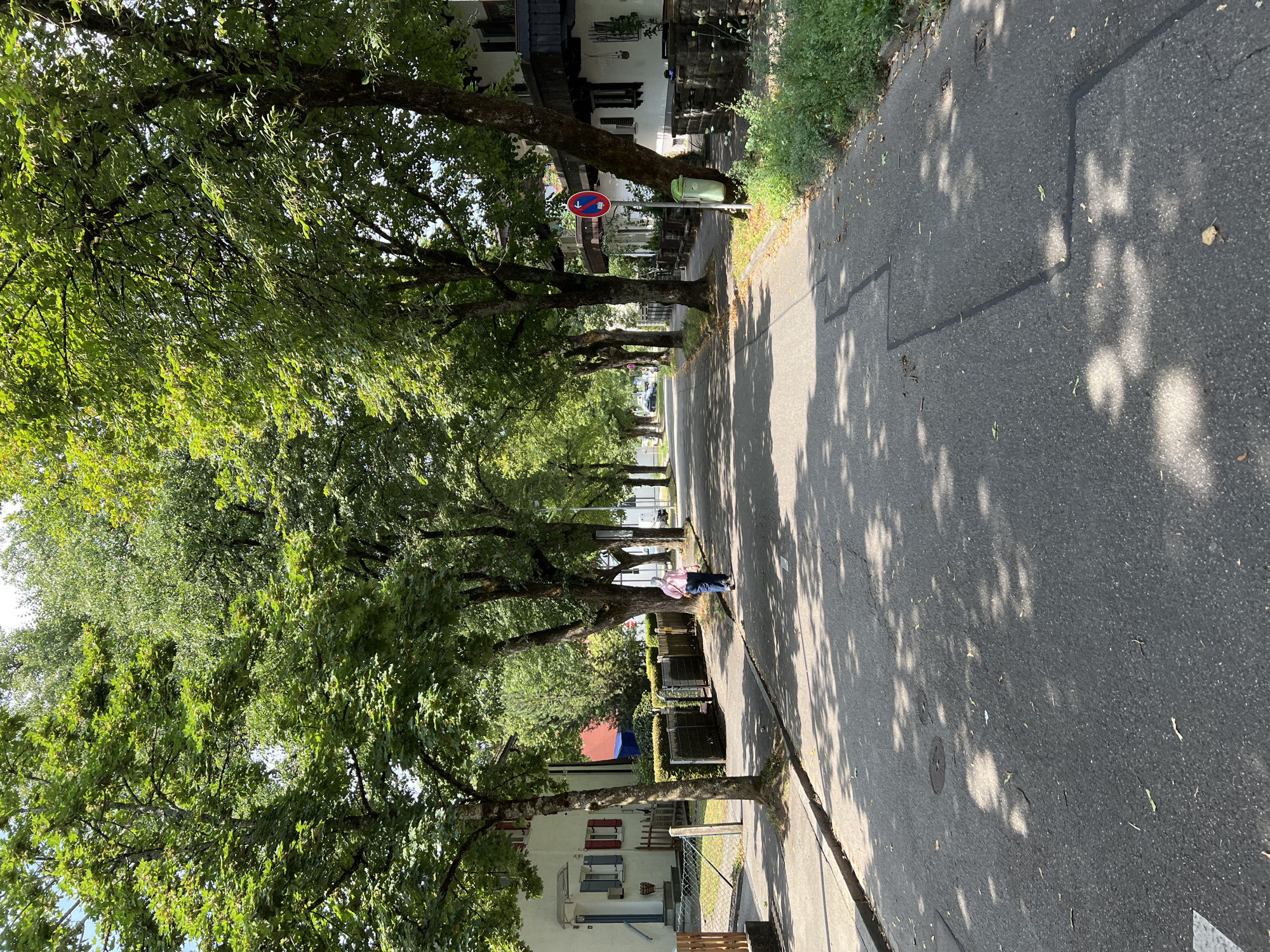 The image depicts a street scene in Immenstadt im Allgäu, Germany, lined with mature trees casting shadows on the asphalt road. On the left, a residential building with a light-colored facade, red shutters, and a light-colored awning over the entrance is visible. A low fence separates the property from a sidewalk. Further down the street, another building with dark wooden balconies is seen. A person, wearing a light pink shirt and dark blue pants, walks away from the camera on the sidewalk, carrying a light-colored bag over their shoulder. A red and white traffic sign with a blue arrow indicating a right turn is posted on the right side of the street, next to a green trash bin. The road itself shows some cracks and repairs. The overall atmosphere is that of a quiet, tree-lined residential street on a sunny day.