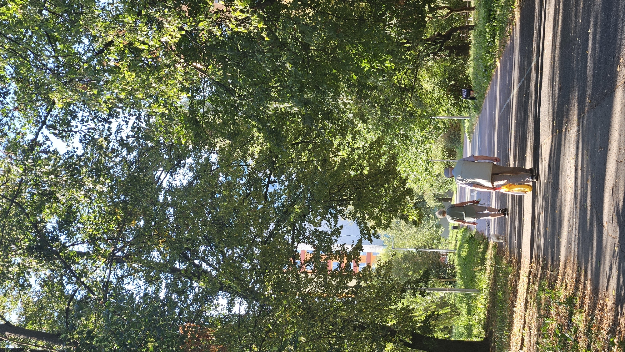 The image shows two elderly people walking away from the camera on a paved path in a park or green area. The person in front is wearing a light green vest over a collared shirt and khaki pants, carrying a yellow bag in their right hand. The person behind them is wearing a dark green t-shirt and light-colored pants, with a leash in their right hand, indicating they are walking a small white dog, which is ahead of them. The path is lined with trees on both sides, casting shadows on the ground. In the background, a colorful building is visible through the foliage, and streetlights are present along the path. The overall scene suggests a pleasant day in a city park. Based on the building's architecture and common residential building styles in the region, this location is likely in the Sekčov housing estate in Prešov, Slovakia.