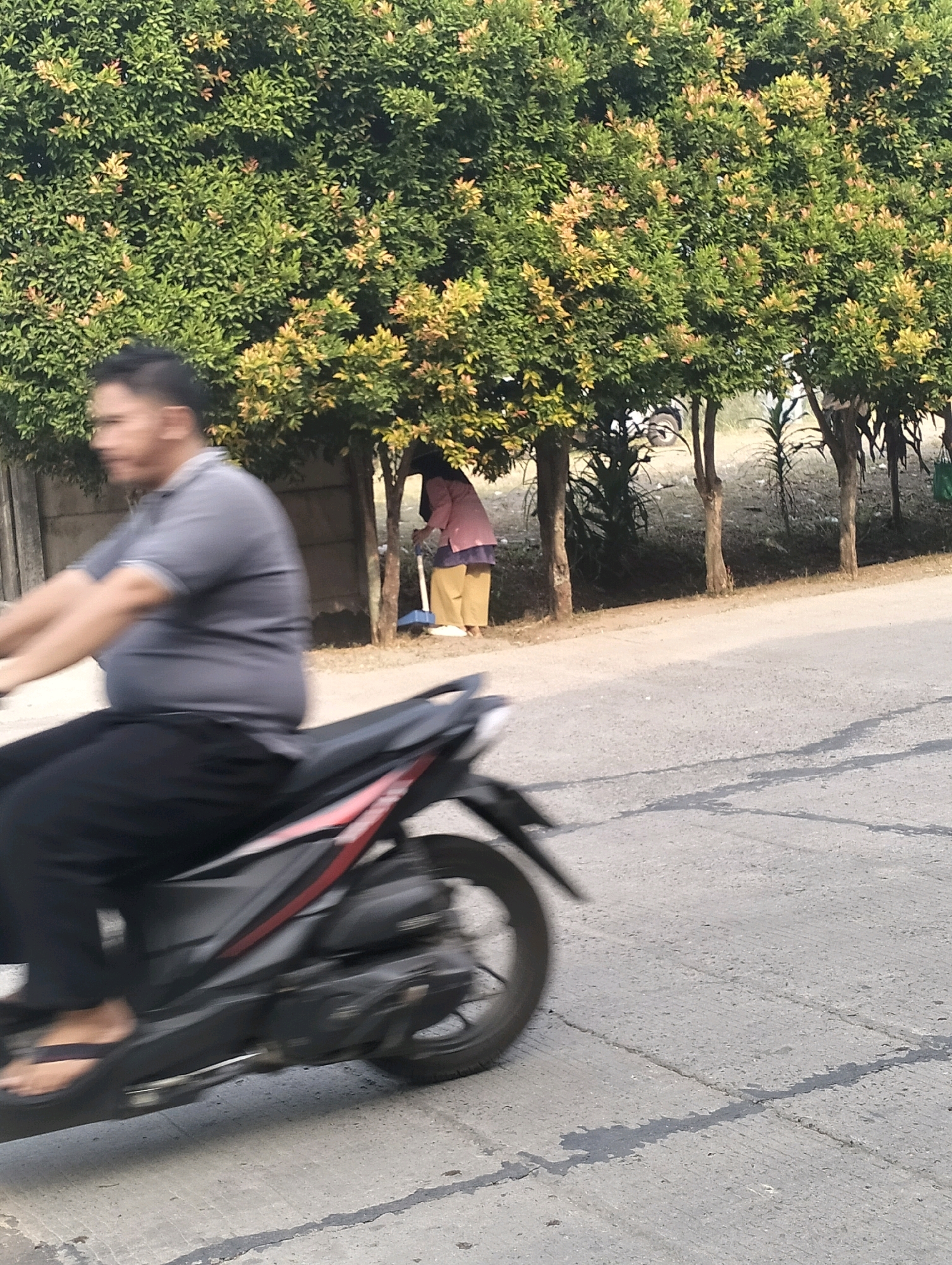 The image, captured in Gunung Sindur, Indonesia, depicts a man riding a motorcycle on a paved road. The man, who is slightly blurred due to motion, is wearing a gray polo shirt and black pants. He is positioned in the foreground and is the primary subject. Behind him, to the right, a woman wearing a pink headscarf and a yellow skirt is visible, sweeping the ground with a broom. She is standing near a row of trees with green and reddish-brown leaves. The environment appears to be outdoors with a road surface and a backdrop of dense foliage. The lighting suggests it is daytime, possibly late afternoon, given the shadows cast on the road. A concrete wall is partially visible on the left side of the image.