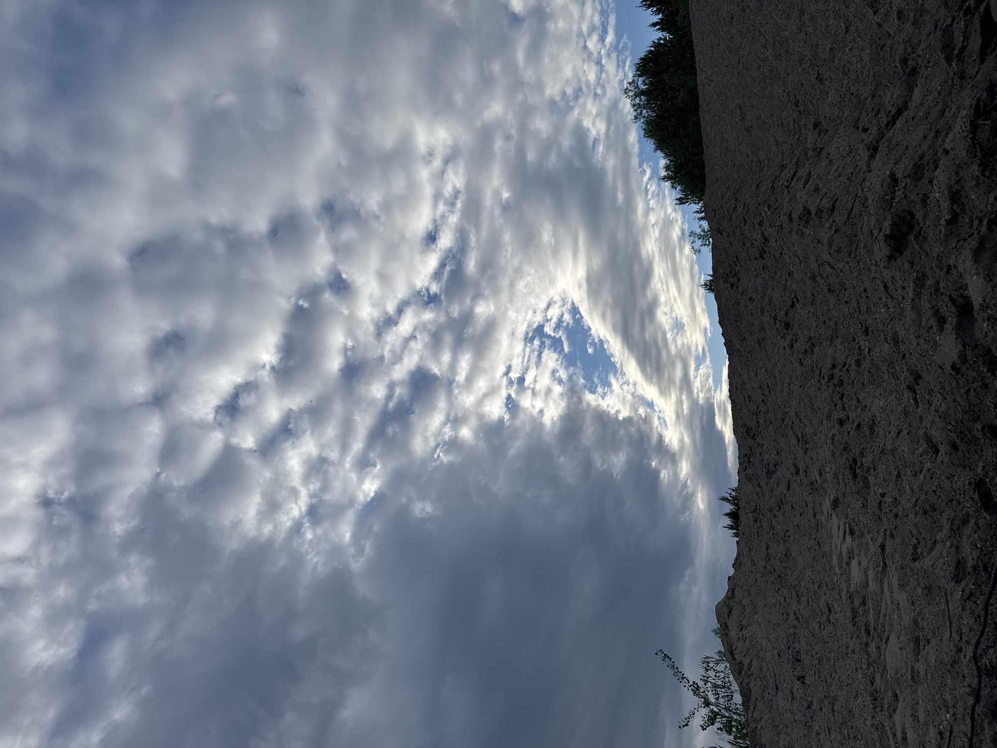 The image shows a pile of dark soil in the foreground, with a line of dark green trees along the horizon in the background. Above the trees, the sky is filled with dramatic, swirling clouds, with patches of blue sky visible in between. The lighting suggests it is either early morning or late afternoon. The terrain appears to be somewhat uneven, and there are some faint tracks or depressions in the soil. The scene is located in Novyi, Russia.