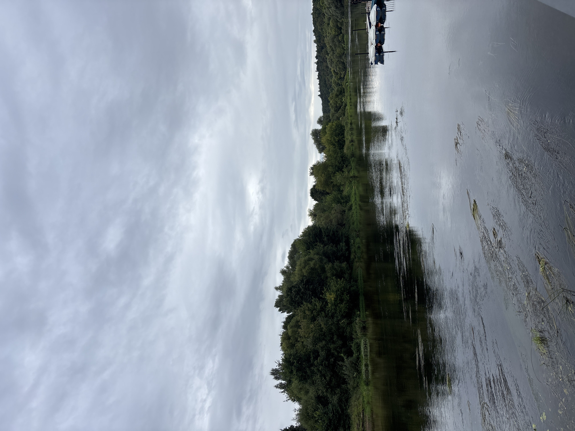 The image depicts a wide, calm river flowing through a forested area under an overcast sky. The left side of the river is lined with dense, green trees and foliage, forming a natural embankment. The water's surface reflects the sky and the surrounding greenery, with some aquatic plants visible floating on top. On the right side of the river, a wooden dock with several small, white boats, numbered 4, 5, and 7, is moored. The background shows rolling hills covered in trees, suggesting a rural or natural landscape. The overall atmosphere is serene and tranquil, indicative of a quiet day by the water. This scene is likely located in or around Zvenigorod, Russia, a city known for its natural beauty and proximity to the Moskva River.