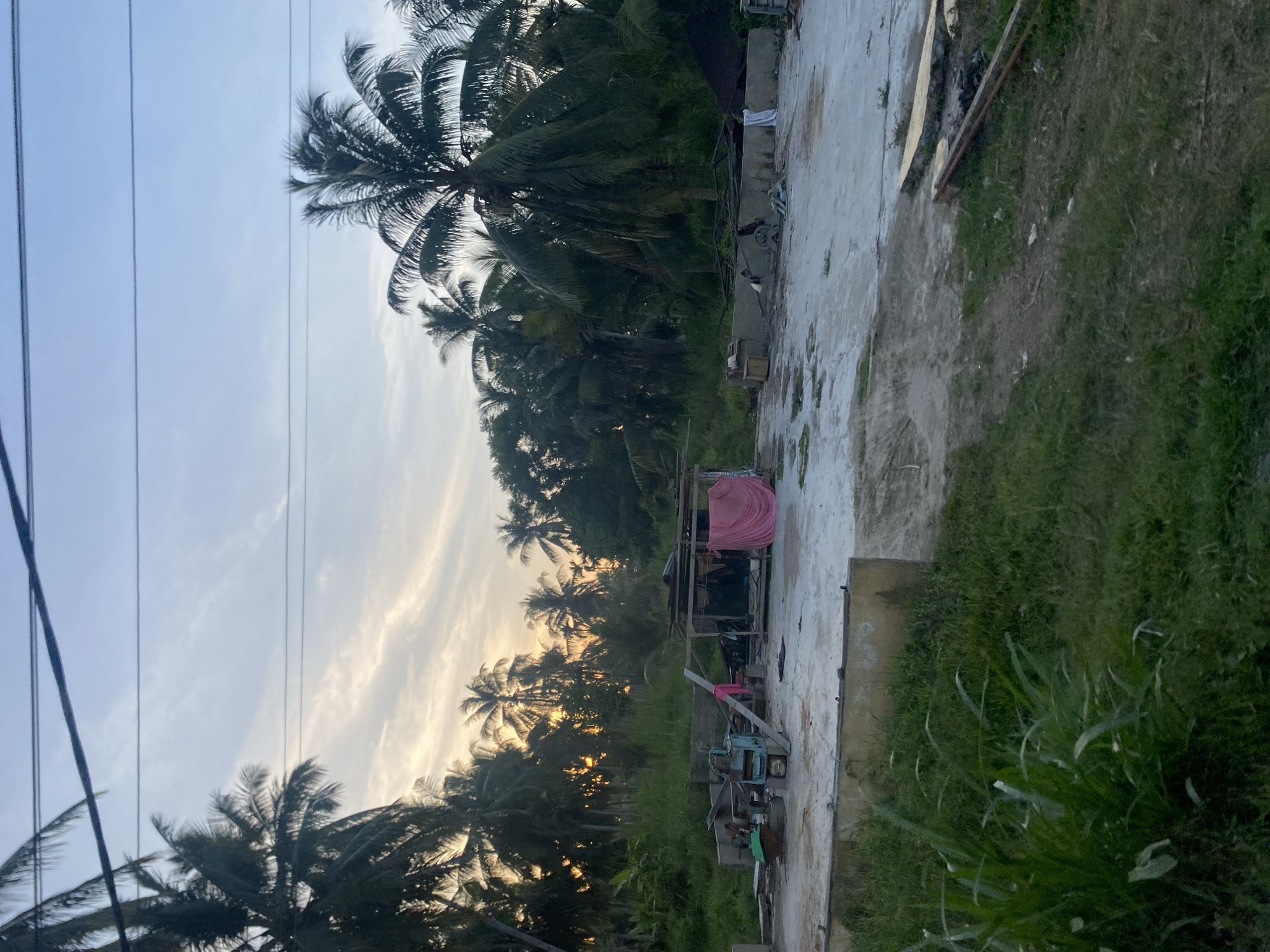 The image shows a rural scene near Blang Mee, Indonesia. In the background, rows of palm trees are silhouetted against a dawn or dusk sky. Power lines run across the left side of the frame. To the right, a concrete area sits adjacent to overgrown grass. A simple, open-air structure with a pink cloth draped over it is visible, along with various pieces of equipment and debris.