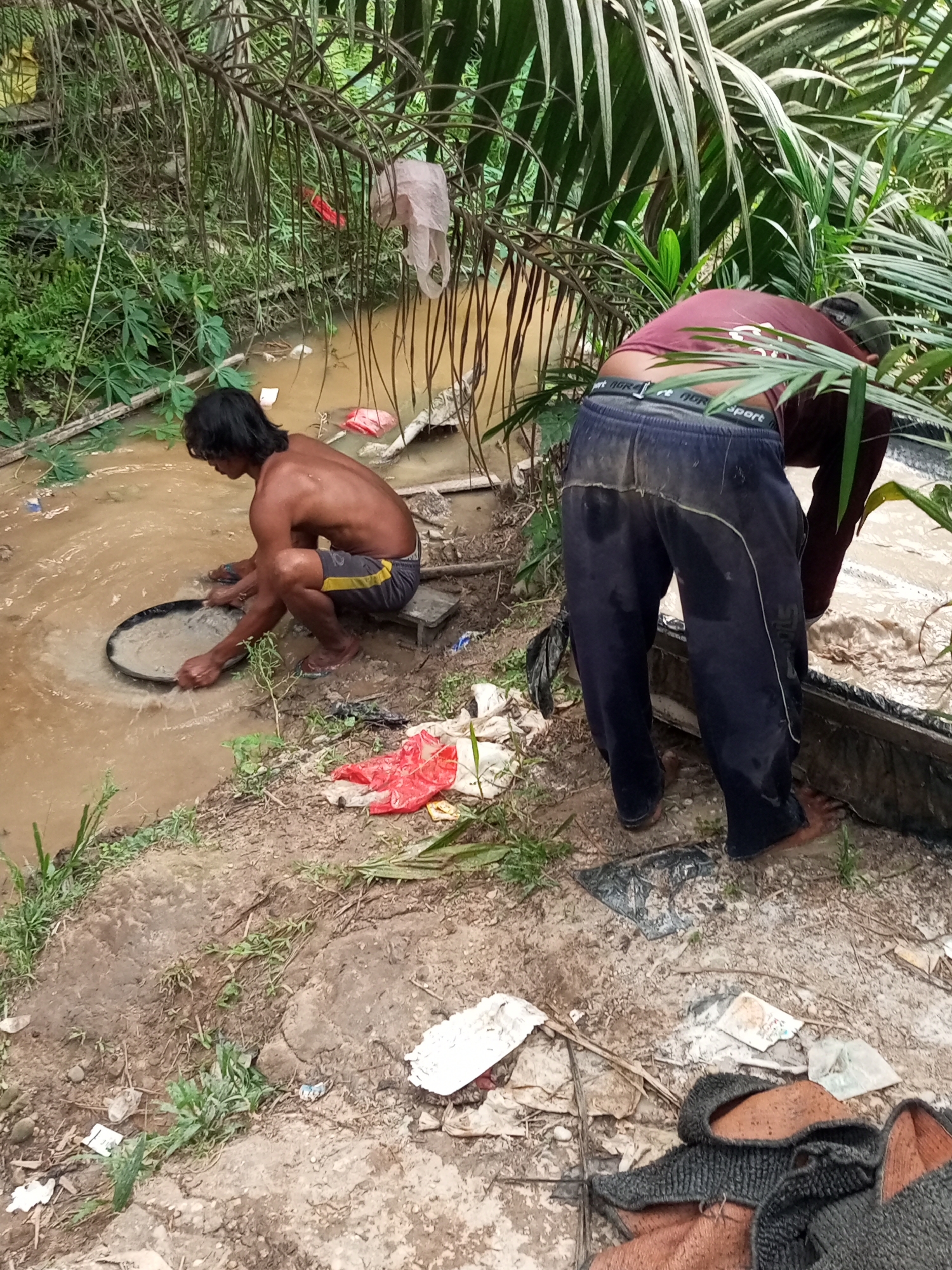In the city of Keling Panggau, Indonesia, two individuals are engaged in a water-based activity near a muddy body of water surrounded by dense vegetation. The individual on the left, appearing to be a male with long, dark hair, is crouched in the water, holding a shallow pan and actively sifting through its contents. He is shirtless and wearing dark shorts with yellow trim. The water in the pan appears murky, suggesting the presence of sediment.
To the right, another individual, wearing a dark maroon t-shirt and dark pants, is also interacting with the water, bending over into what appears to be a trough or a large container. Their posture suggests they are also involved in a manual process related to the water or its contents. The ground surrounding the water is muddy and appears littered with debris, including plastic bags and other discarded items. Overhead, palm fronds and other greenery create a canopy, indicating a tropical or subtropical environment. The overall scene suggests a laborious, outdoor task being performed in a natural, possibly rural, setting.