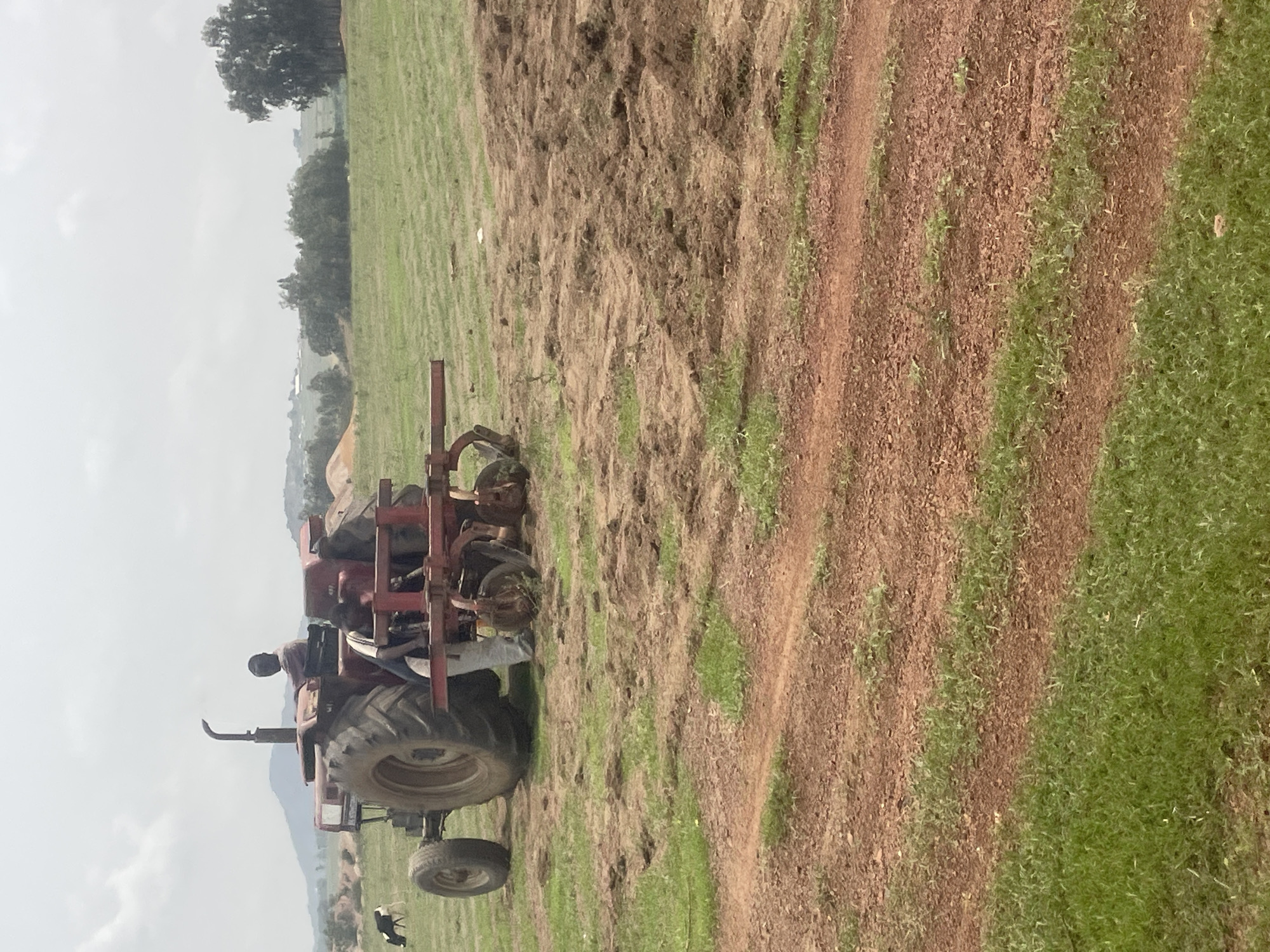 A tractor is tilling a field in Durumi, Nigeria. A person is driving the tractor. The field is partially tilled, with a dirt path to the right. Green grass is growing in the field. There are trees and hills in the distance. The sky is overcast.
