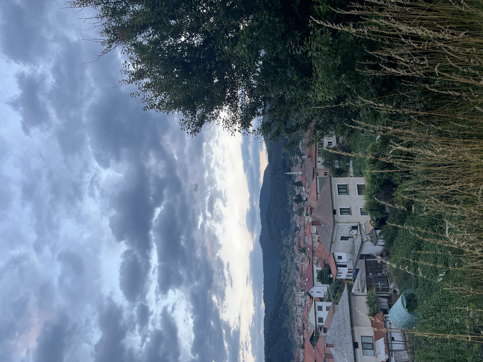 This is a landscape photograph taken in the city of Barutin, Bulgaria, depicting a village nestled amongst rolling hills under a cloudy sky. The foreground is dominated by tall, dry grasses and lush green foliage, with a large, leafy tree on the right side of the frame partially obscuring the view.
In the middle ground, a cluster of houses with red-tiled roofs is visible, characteristic of Balkan architecture. The houses vary in size and style, with some appearing older and others more modern. A tall, slender white minaret of a mosque rises above the rooftops, indicating a significant Muslim population. The village extends across the gentle slopes of the hills.
The background features densely forested hills, receding into the distance. The sky is filled with dramatic, dark grey clouds, suggesting an overcast day or the approach of rain, with a sliver of brighter sky visible near the horizon. The overall impression is one of a serene, rural setting at dusk. There are no people or animals visible in the image. The perspective is elevated, looking down upon the village.