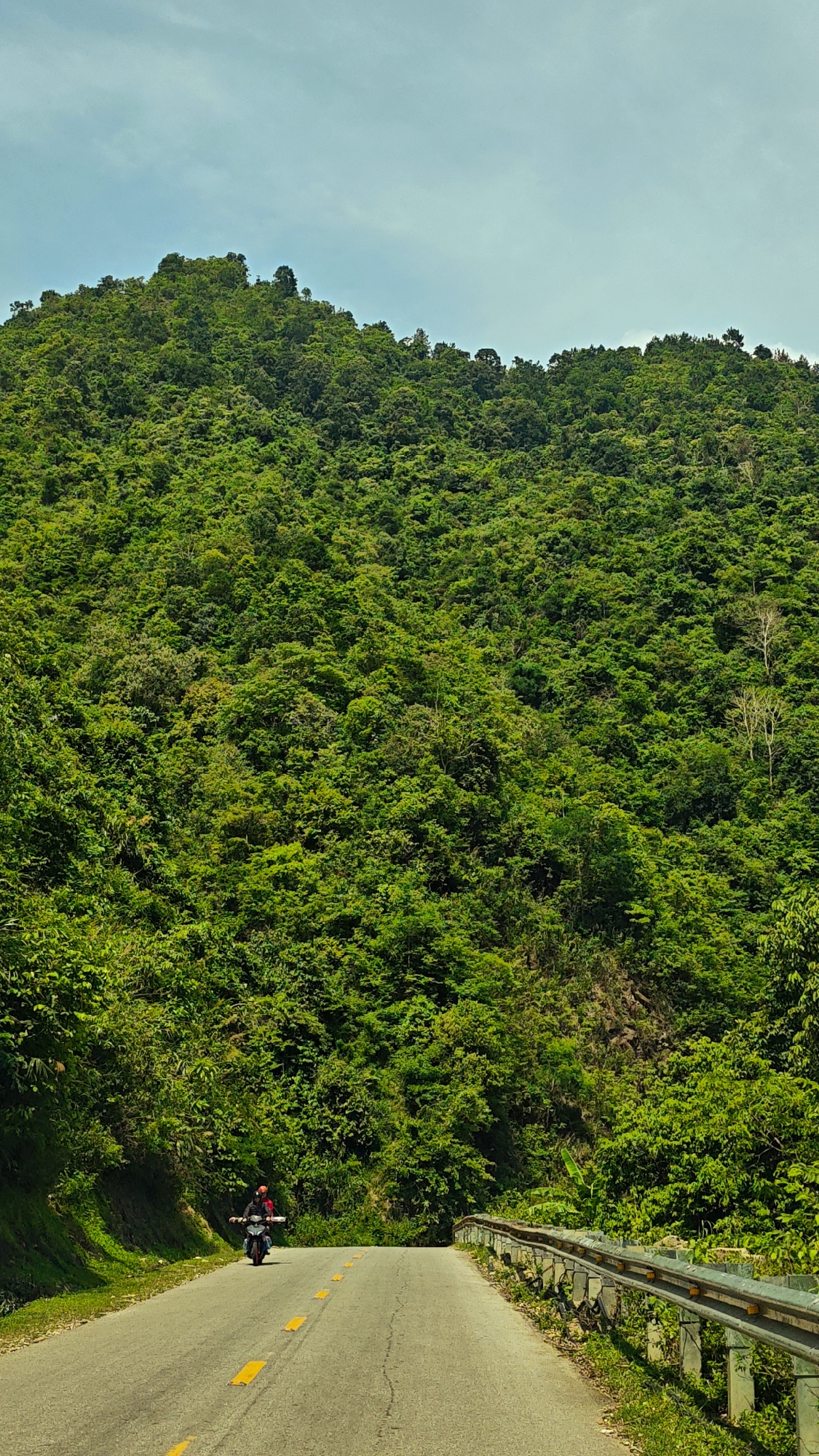 The image presents a picturesque scene of a heavily forested mountain and a winding road in Muong Kim, Vietnam. A single individual is visible on a dark-colored motorcycle, wearing a red helmet, riding along the asphalt road that curves through the mountainous terrain. The road features yellow reflective studs down its center and shows minor cracks. A metal guardrail, appearing somewhat weathered, lines the right edge of the road.
The prominent mountain is almost entirely covered in dense, vibrant green foliage, showcasing a lush forest environment. Some sections of the forest exhibit variations in the shade of green, with a few trees on the upper right slope displaying lighter bark or fewer leaves. Above the mountain, the sky is a soft blue with scattered, wispy clouds, indicating clear weather.
The scene is illuminated by bright, natural light, suggesting it is daytime, likely late morning or early afternoon. The overall impression is one of natural beauty and an adventurous journey through a serene, rural mountain landscape. There is no visible text in the image.
