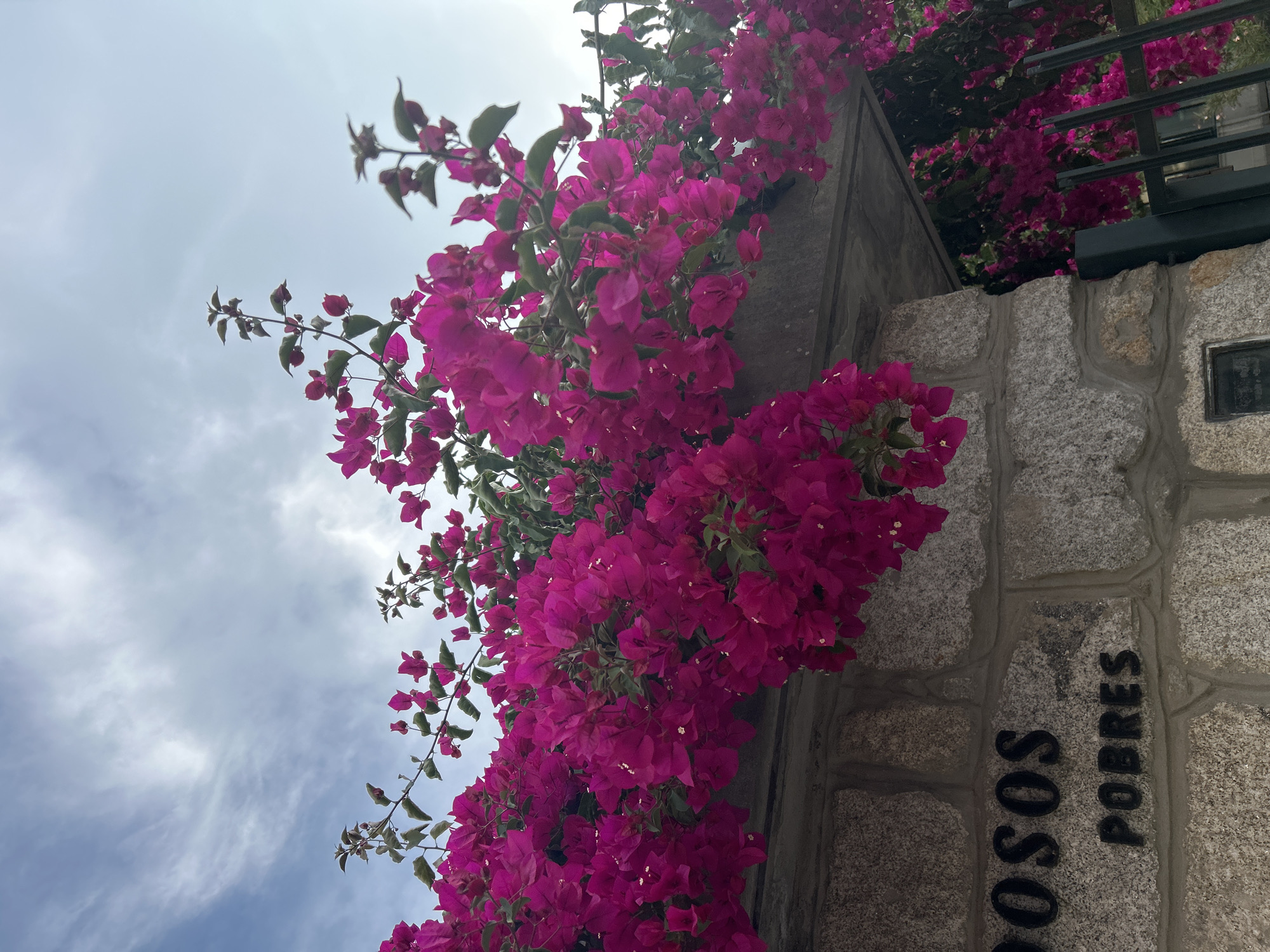 The image shows a close-up of vibrant pink bougainvillea flowers cascading over a stone wall. The stone wall is constructed with large, rough-hewn grey stones. Black, three-dimensional letters are embedded in the wall, spelling out "OSOS" on the top row and "POBRES" on the bottom row. Above the wall, the sky is visible with a mix of blue and white clouds. To the right of the wall, a dark metal fence is partially visible, also adorned with bougainvillea flowers. The lighting suggests it is daytime, possibly late afternoon, given the soft light and shadows.