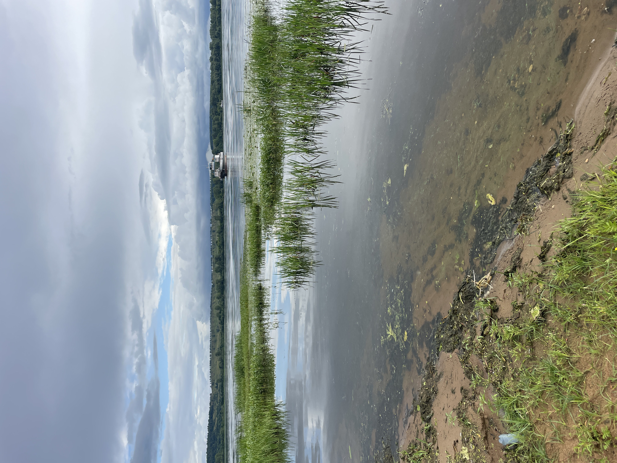 The image depicts a river scene with a small, multi-deck boat in the distance on the water. The foreground features a sandy bank with green grass and some debris, leading into the water where aquatic plants are growing. The water reflects the cloudy sky and the surrounding landscape of a treed embankment across the river. The overall impression is a serene, natural environment with a man-made element in the form of the boat.