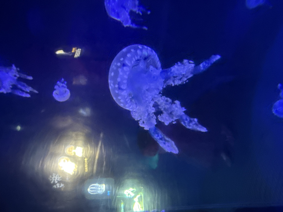 The image portrays an underwater scene within an aquarium, located in Shinan District, China. The primary subject is a large, translucent blue-white jellyfish positioned in the mid-foreground, exhibiting a bell patterned with numerous white spots and substantial, frilly oral arms and tentacles. Other jellyfish, varying in size, are visible in the deep blue-lit environment, including a partially visible specimen in the upper right and smaller individuals in the mid-left and bottom-left. In the background, behind the main jellyfish, a blurry, dark reddish-brown silhouette of a person's head and upper torso is discernible, indicating an observer outside the tank. The background also features several illuminated display panels and reflections: a distinct white snowflake icon, two glowing yellow cartoon-like figures, and a vertical light-green rectangular display. Faint Chinese characters are visible below the yellow figures. The overall environment is characterized by a pervasive dark blue illumination, consistent with an artificial marine exhibit.