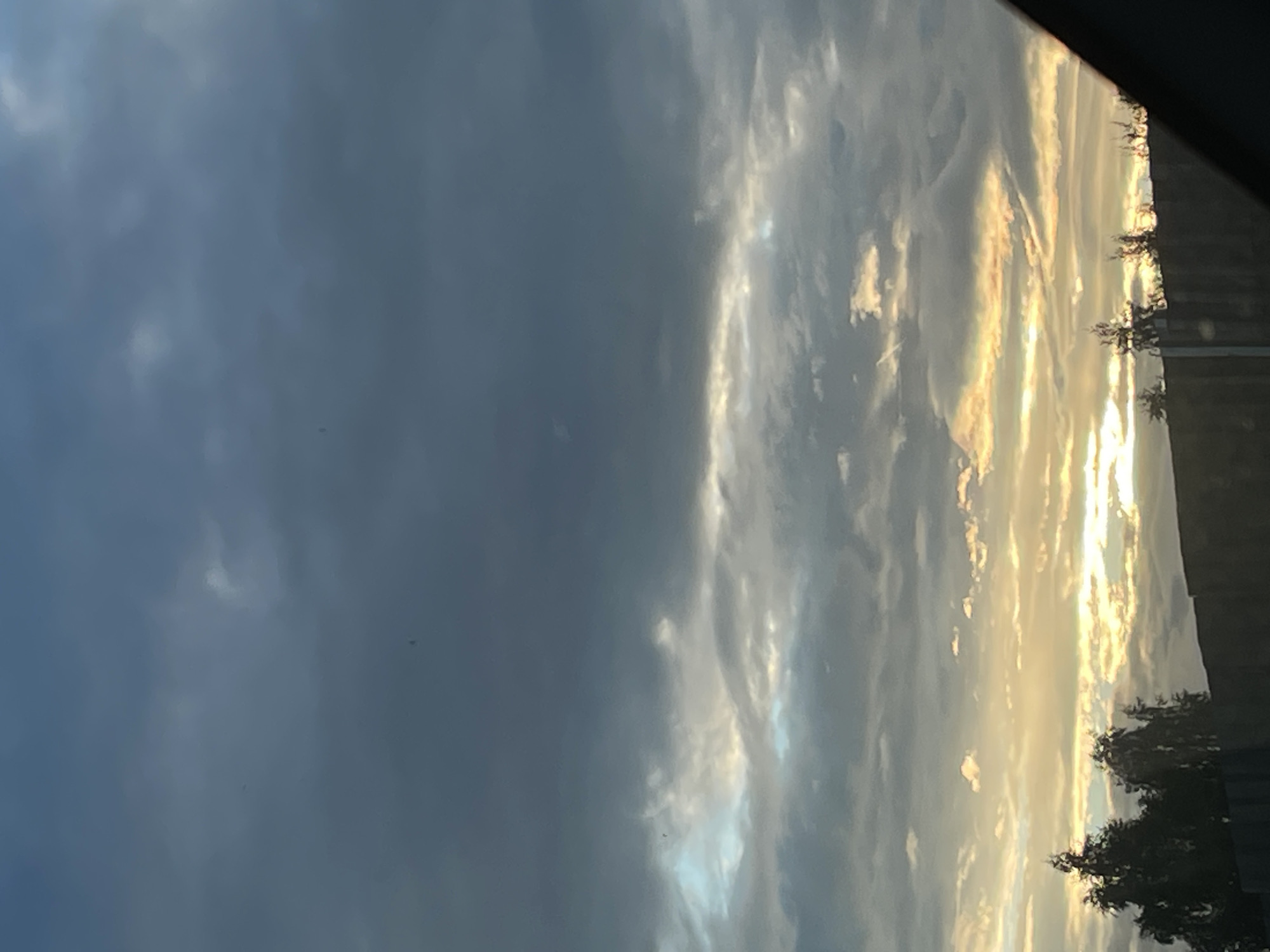 The image depicts a cloudy sky over a dark silhouette of trees and a fence. The clouds are a mix of dark gray and lighter hues, with streaks of yellow and white suggesting sunlight breaking through or reflecting off the cloud formations. The overall impression is that of a dramatic sky, possibly at dawn or dusk, seen from a ground-level perspective. No specific landmarks or indications of Votkinsk, Russia are visible. The scene is static and devoid of human activity or interaction.