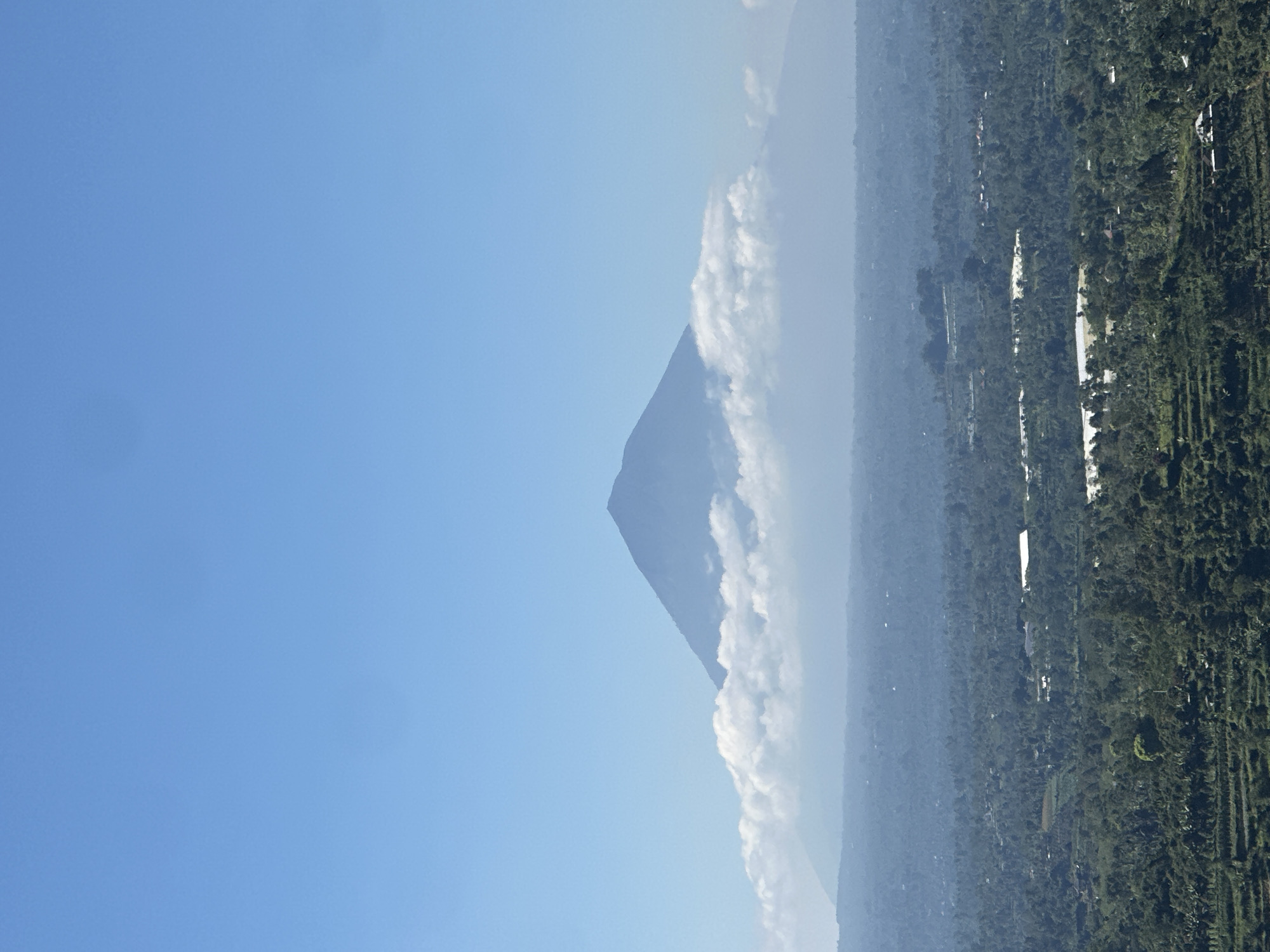 The image captures a serene, distant view of Mount Batur, a volcano in Baturiti, Indonesia. The mountain, a prominent conical shape, rises majestically against a clear, bright blue sky. A band of fluffy white clouds gracefully encircles the middle section of the mountain, partially obscuring its lower slopes. Below the mountain and clouds lies a vast expanse of lush green landscape, indicative of the Baturiti region. The foreground is densely covered with trees and vegetation, with visible terraced fields on the left side. Scattered throughout the greenery are glimpses of structures, suggesting human settlements within this verdant environment. The overall atmosphere is peaceful and natural, highlighting the volcanic landscape and its surrounding agricultural terrain.