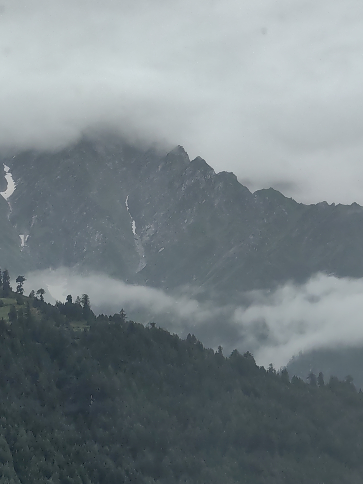 The image shows a mountainous landscape with dense green foliage in the foreground, transitioning to rugged, rocky peaks partially obscured by clouds. The sky is overcast, contributing to a muted, cool color palette. The vegetation on the slopes appears to be a mix of coniferous trees. Wisps of fog or clouds are interspersed among the mountain ranges, creating layers and depth. There are no visible people or animals. The scene depicts a natural, serene mountain environment.
