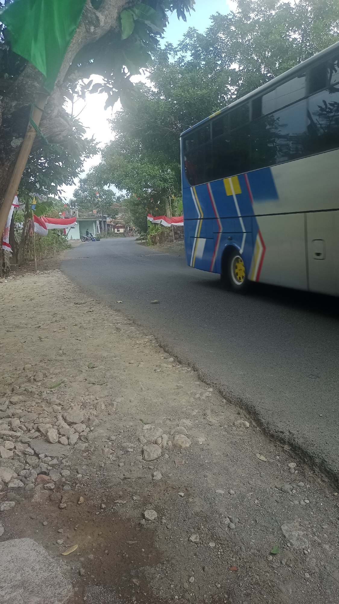 A long, silver and blue bus with yellow accents on its wheels is driving on a paved road that appears to be in disrepair, with patches of gravel and dirt along the side. The bus is in motion, as indicated by its slightly blurred appearance. To the left of the road, there is a dirt and gravel embankment with some scattered rocks and leaves. Several Indonesian flags, red and white, are mounted on bamboo poles along the road's edge, interspersed with green foliage. In the background, there are trees and buildings that suggest a rural or semi-urban setting. The sky is visible above the trees, with some clouds. Two motorcycles are parked on the side of the road in the middle distance. The scene is set in Cibeber, Indonesia.