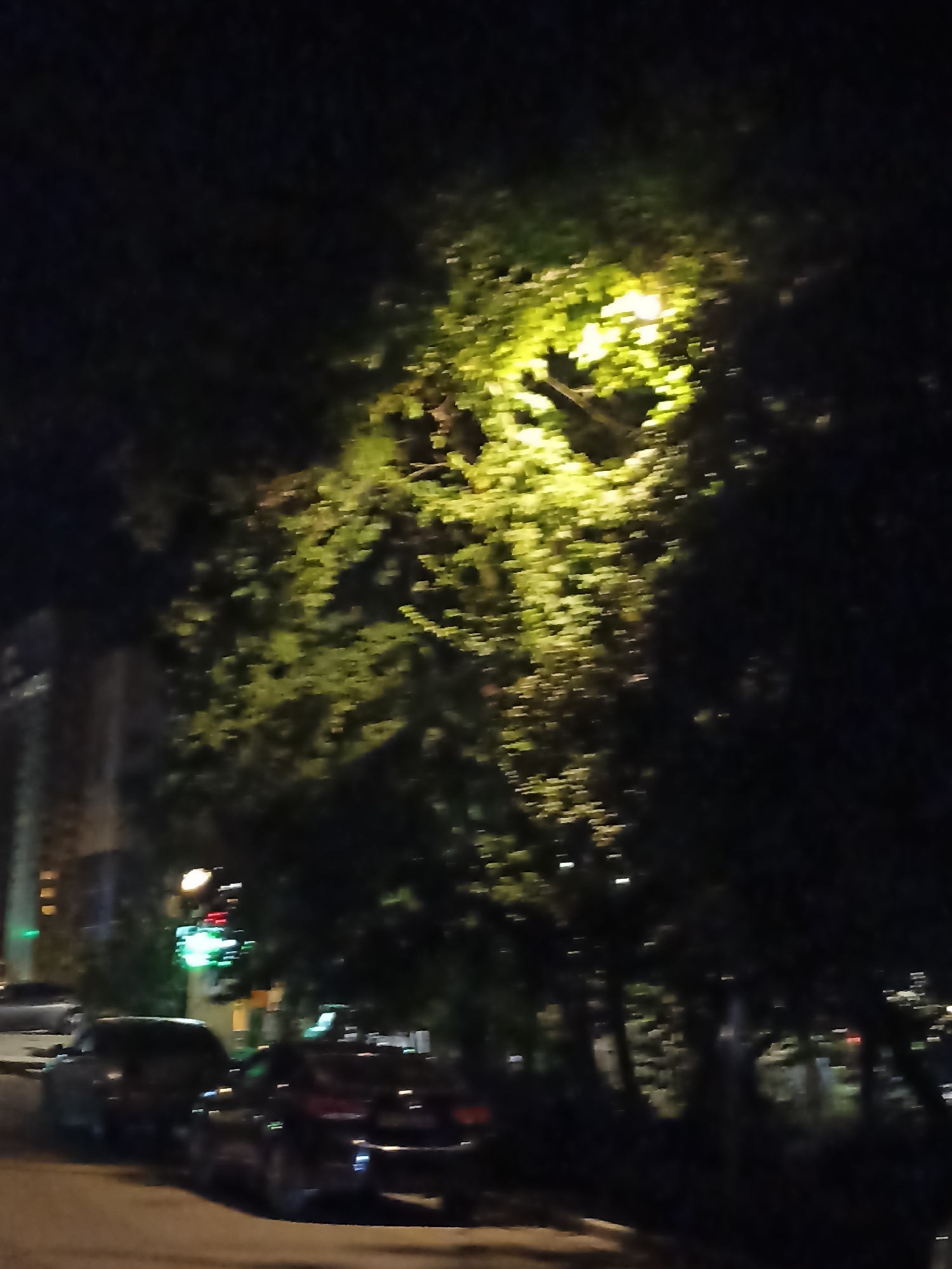The image depicts a nighttime street scene, possibly in Gusar, Azerbaijan, with trees illuminated by a street lamp casting a bright yellow glow through their leaves. Several cars are parked on the side of the road, with their headlights and taillights visible. A building, partially obscured by trees, is visible in the background on the left side of the image. The overall impression is of a quiet, urban street at night.