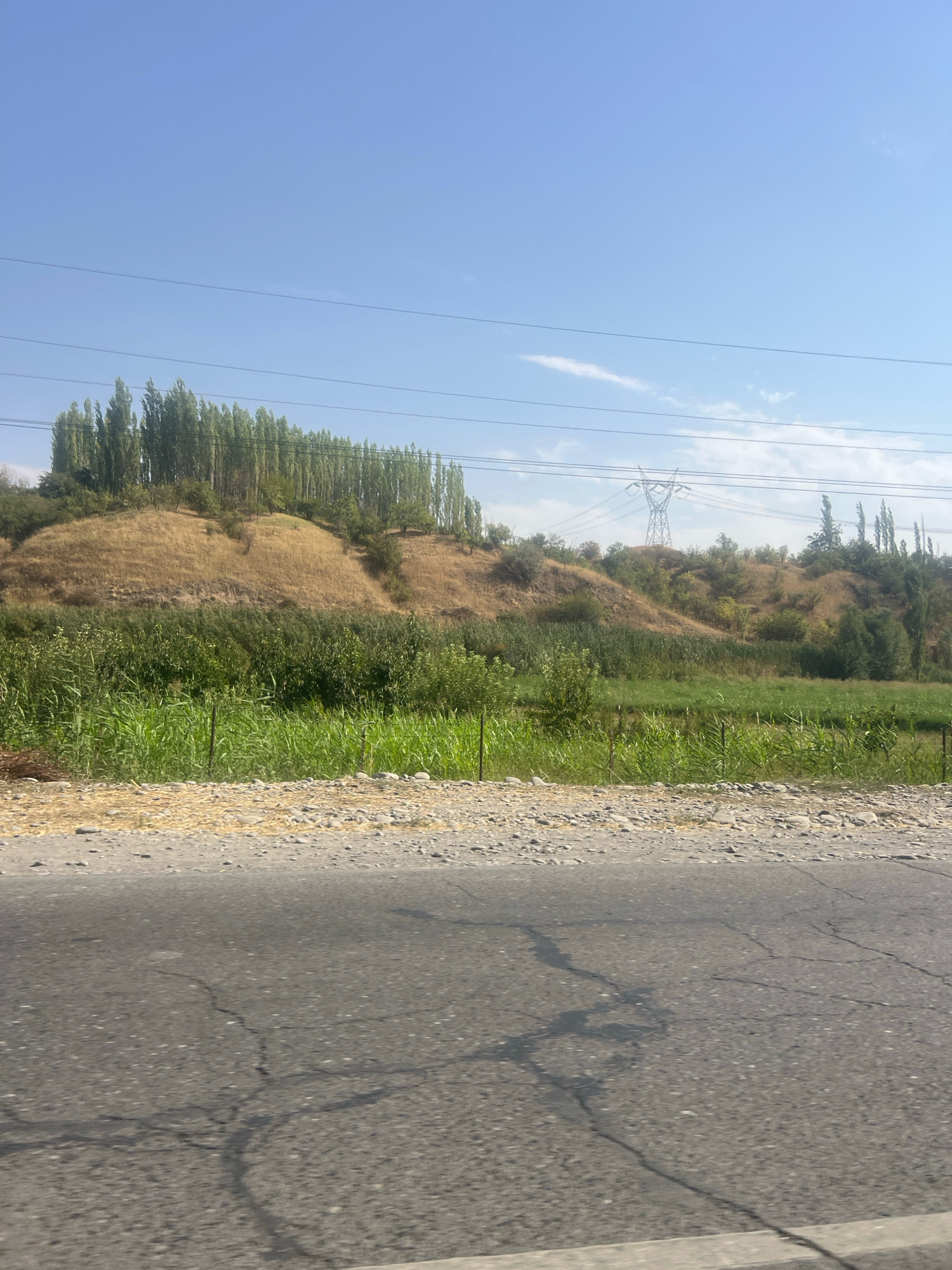 This is a wide-angle, exterior, eye-level shot of a rural roadside scene on a sunny day. In the foreground, a cracked asphalt road occupies the bottom third of the frame. A gravel and dry grass verge runs along the edge of the road, bordering a field of tall green reeds and other dense vegetation. Behind the field, a dry, grassy hill rises, topped with a dense row of tall, slender trees. In the background, more trees and vegetation cover the rolling hills, and a large electricity pylon with power lines stretches across the bright blue sky. The scene appears to be in a natural, undeveloped area, likely on the outskirts of a settlement.