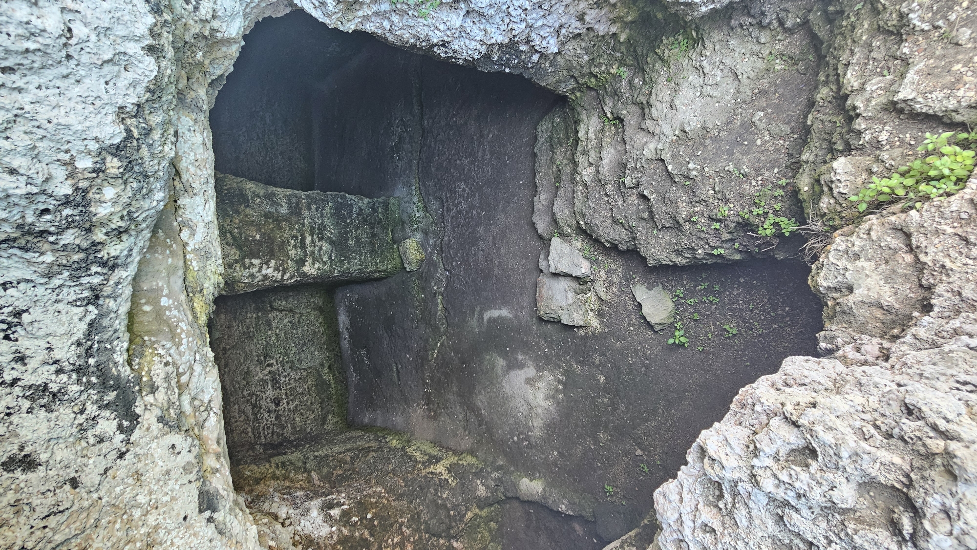 The image depicts a rock-cut tomb located in Kamen Bryag, Bulgaria. The tomb's interior is visible through an opening in the rocky ground. The walls of the tomb are rough-hewn stone, with traces of moisture and moss. There is a shelf or ledge carved into the wall. The exterior edges around the openings are also rocky and overgrown with sparse vegetation.