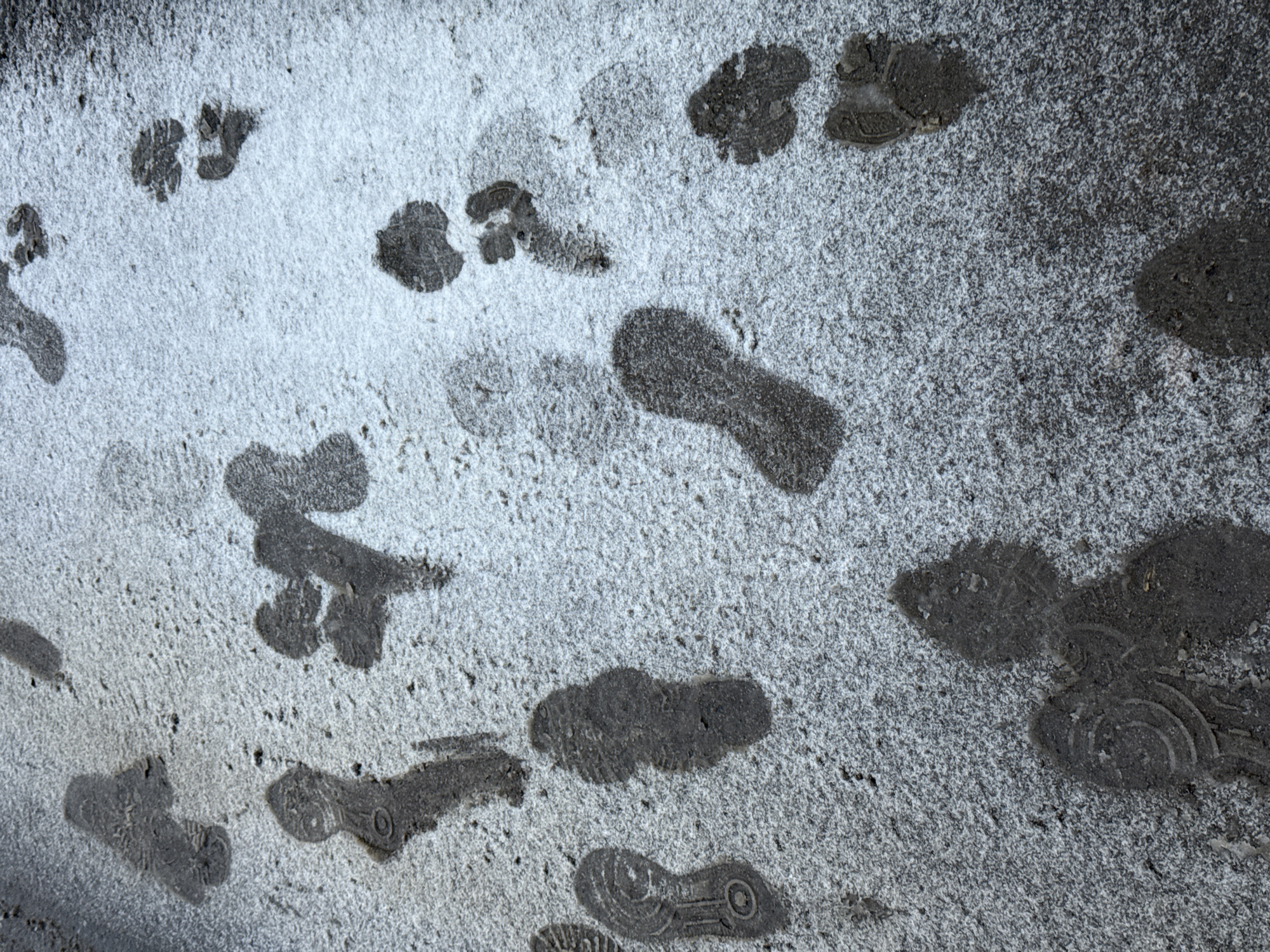 The image depicts a concrete surface dusted with a light layer of snow. There are multiple footprints visible, revealing the underlying dark gray concrete. Some footprints show detailed tread patterns, while others are less defined. There is no additional information suggesting the image was taken in Votkinsk, Russia.