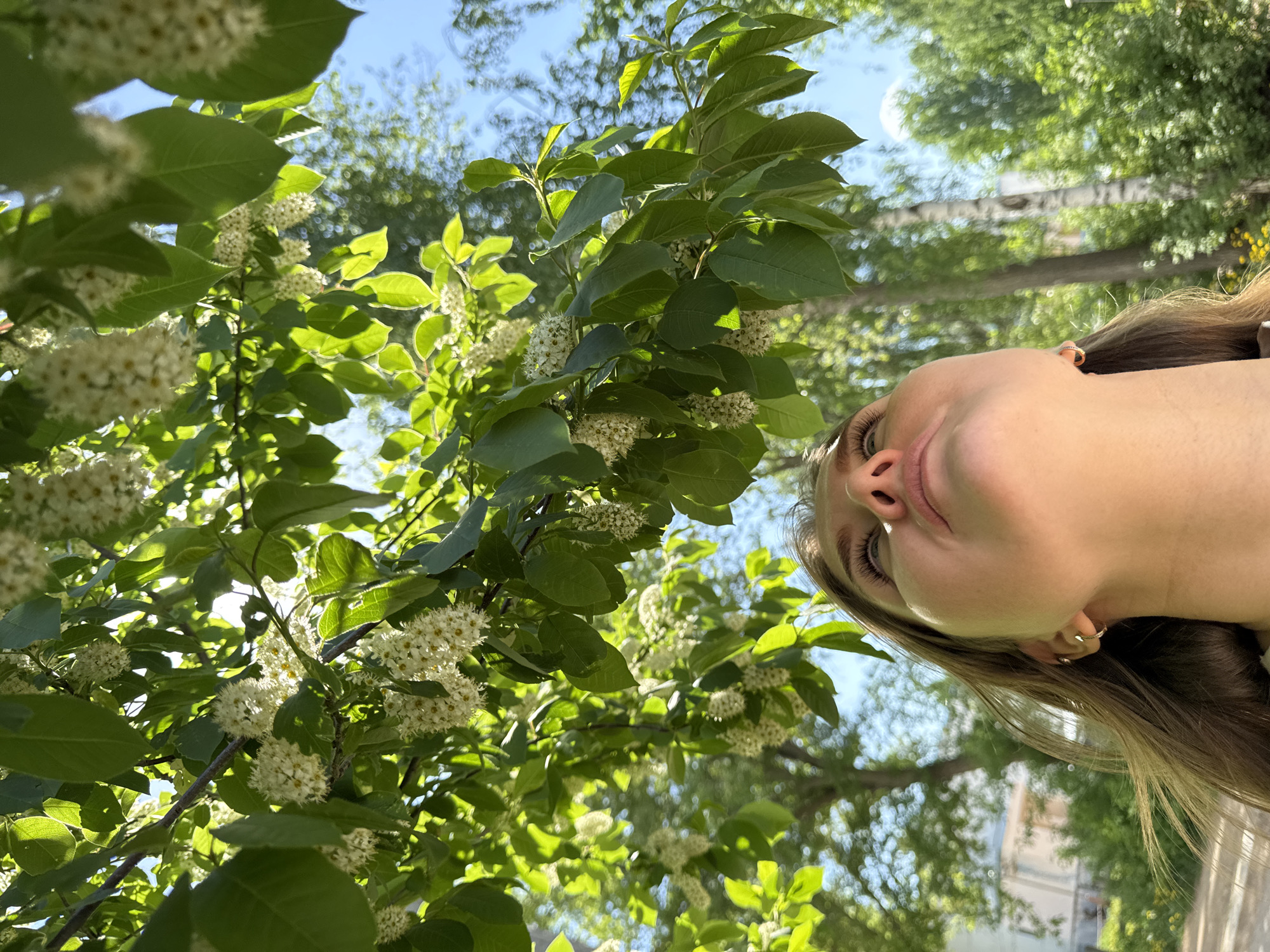 The image is a low-angle selfie of a woman in Chaikovsky, Russia, taken outdoors during daylight. She is positioned on the right side of the frame, with her face tilted upwards. Her hair is long and light brown, and she is wearing small hoop earrings.
To the left, a tree branch filled with green leaves and clusters of small white flowers is prominently featured. The leaves are illuminated by sunlight.
The background includes trees and a glimpse of the sky. A building is visible in the distance.