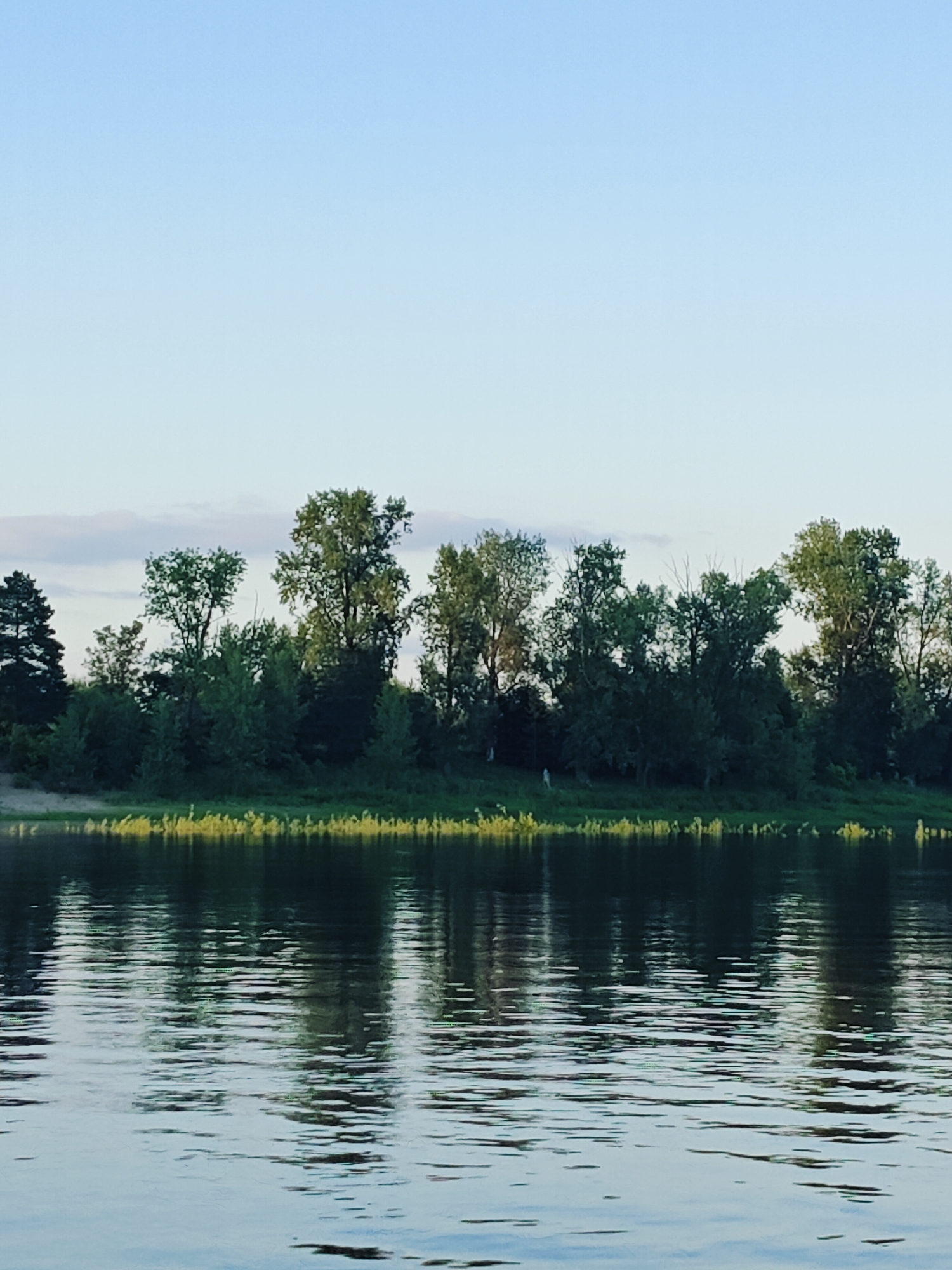 This is a photograph of a body of water with a tree-lined shore in Ol'khovskoye, Russia. The sky is a clear, pale blue with a few faint clouds. The water is dark and reflects the trees on the shore, creating a mirror image with rippling horizontal lines. Along the shore, a line of bright green and yellow vegetation is visible, and behind it, a dense row of deciduous trees stands against the sky. The trees are lush and green, with some appearing taller than others. The overall scene conveys a sense of peaceful, natural landscape.