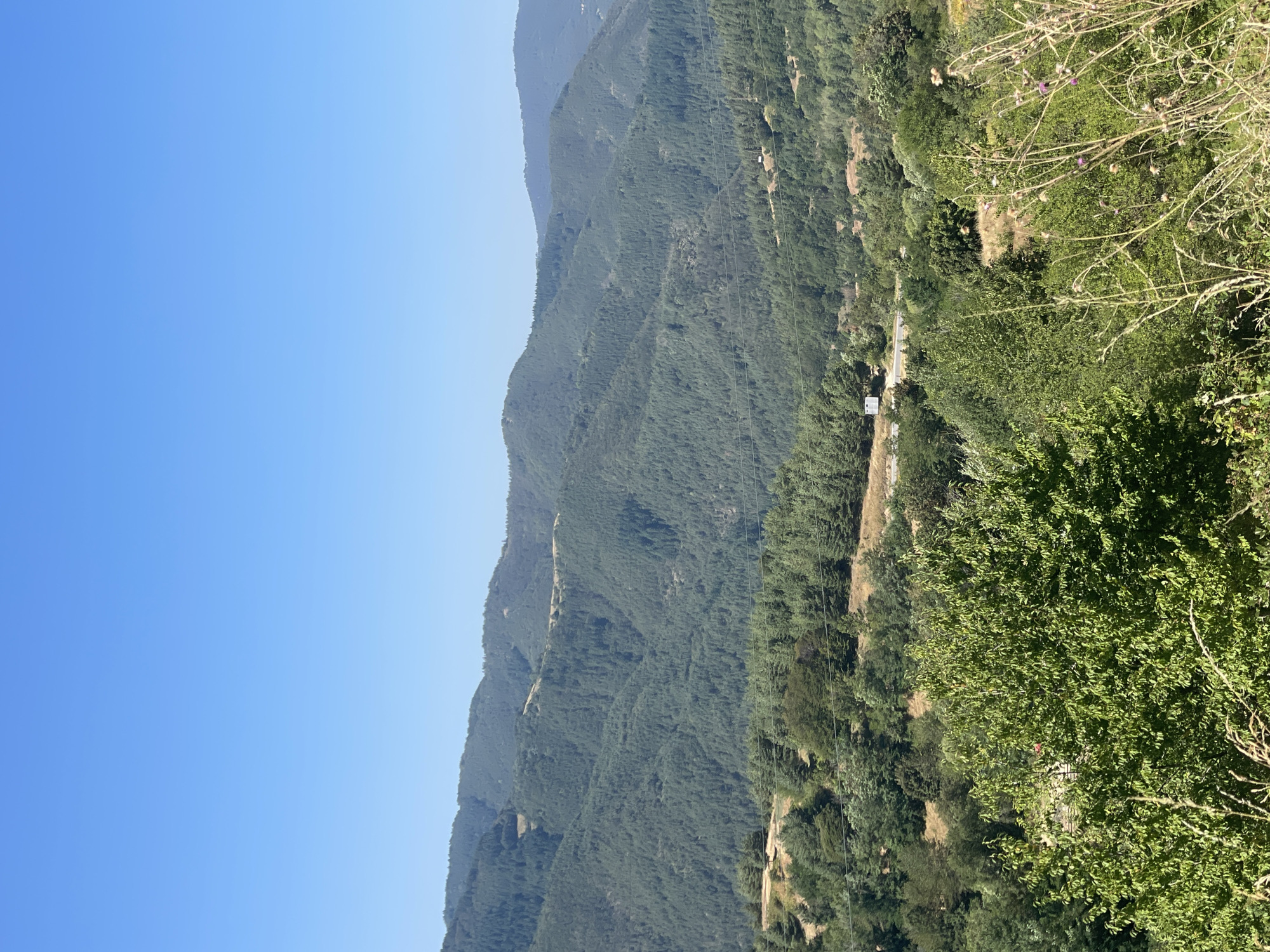 The image depicts a lush, verdant mountain landscape under a clear blue sky. The terrain is characterized by rolling hills covered in dense evergreen forests, with lighter patches suggesting clearings or different types of vegetation. In the mid-ground, a narrow road winds through the trees, and a small, white, box-like structure, possibly a building or utility shed, is visible near the road. The foreground is dominated by various trees and some dry grasses with seed heads and a few small purple flowers, suggesting a slightly overgrown, natural setting. The scene appears to be a rural or mountainous area, likely a viewpoint overlooking a valley or a series of mountain slopes. The location is identified as Oryahovets, Bulgaria, a rural mountainous region known for its natural beauty and extensive forests.