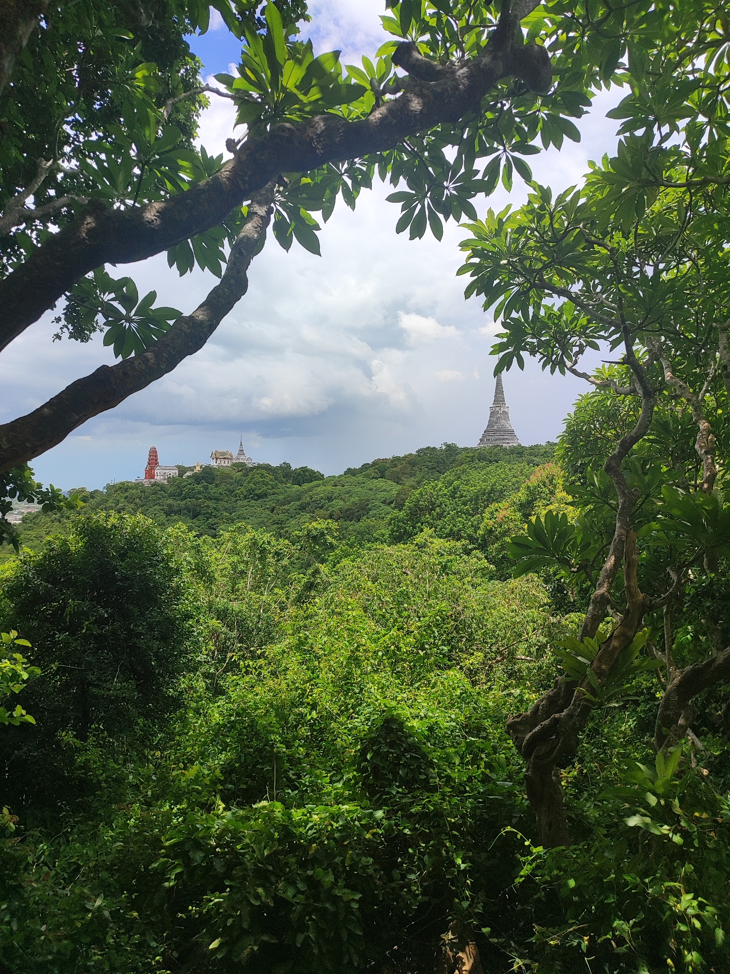 The image captures a scenic view of the Phra Nakhon Khiri Historical Park, also known as Khao Wang, in Phetchaburi, Thailand. In the foreground, thick green foliage and branches of trees frame the view. Beyond the vegetation, the park's structures are visible atop a lush, green hill. Two distinct structures stand out: a tall, slender white stupa with a pointed spire on the right, and a vibrant red tower with a tiered roof on the left, accompanied by white buildings with traditional Thai architecture. The sky above is partly cloudy with patches of blue. The overall scene depicts a natural landscape interwoven with historical architecture.