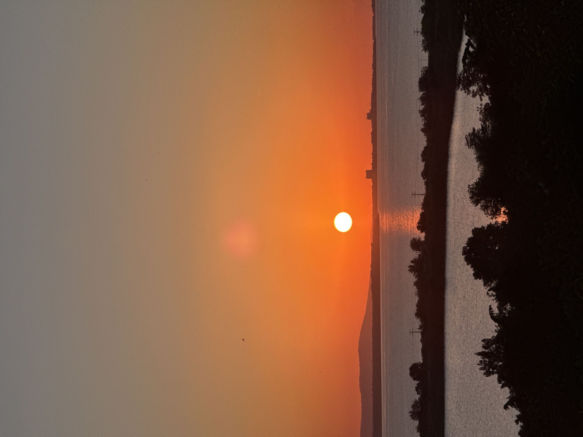 The image shows a sunset over the Burgas Bay, viewed from a slightly elevated position within the city of Burgas, Bulgaria. The sun, a bright white disc, is positioned in the lower center of the frame, casting a brilliant orange glow across the sky and water. The sky transitions from a deep orange near the horizon to a soft grey at the top of the image.
In the foreground, silhouetted trees and foliage create a dark, textured band. Behind this, a body of water, likely part of the Burgas salt lakes or the bay itself, reflects the warm colors of the sunset. Further out, across the main body of water, a distant shoreline is visible, marked by a faint, undulating mountain range to the west and a line of trees and structures to the east. Two prominent, dark rectangular buildings or structures are visible on the eastern horizon, possibly industrial or residential complexes. A few faint power lines and poles are also visible along the shoreline. Two small birds are flying in the upper left portion of the sky. The overall scene is tranquil and serene, emphasizing the natural beauty of the sunset.