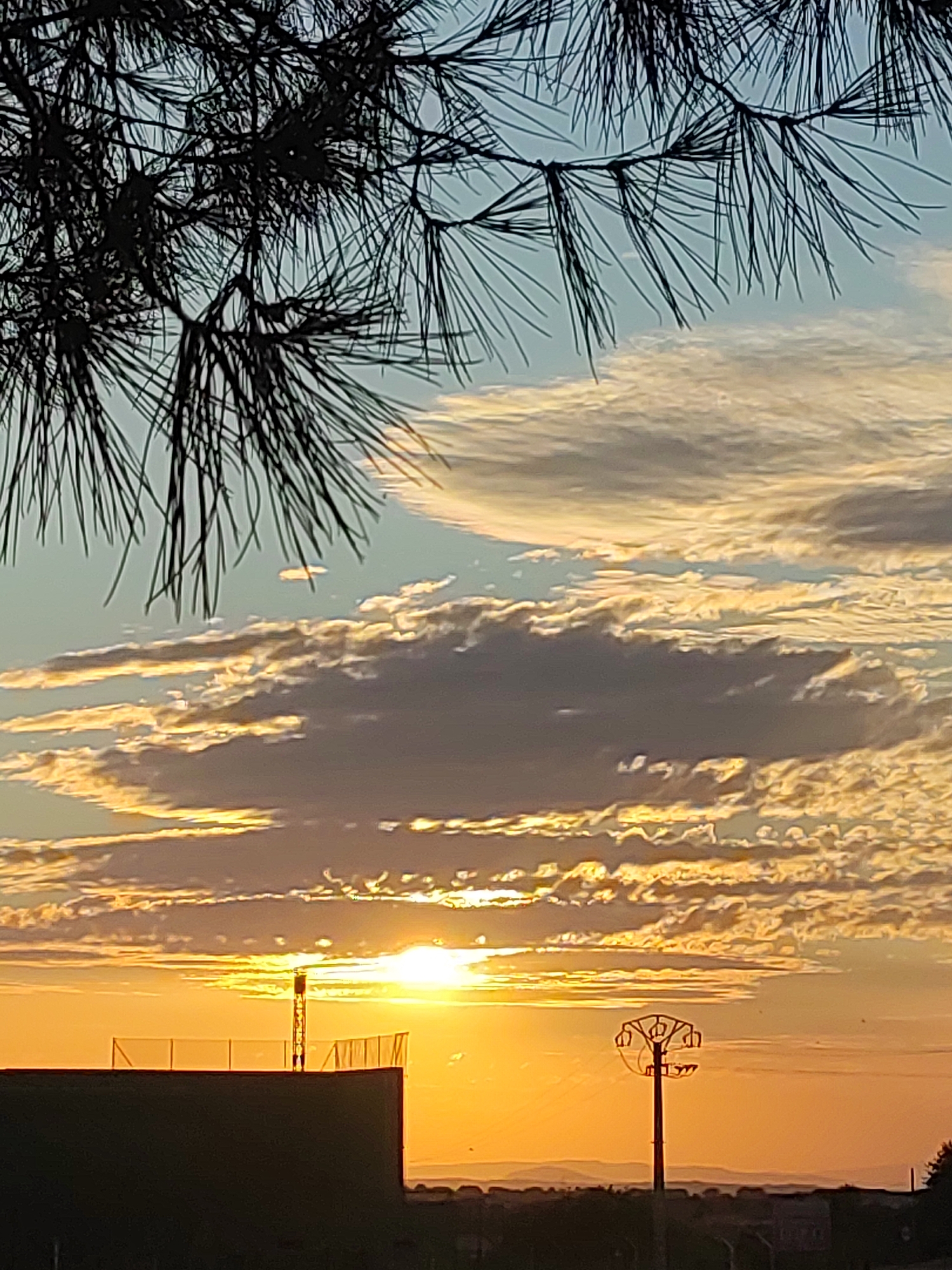 A sunset illuminates a silhouetted industrial landscape in Sobradillo, Spain. In the foreground, the dark, spiky branches of a pine tree overhang the scene, their needles sharply defined against the brightly lit sky. Below the tree, a dark, flat-topped building with a fenced-off area sits in silhouette, topped by a narrow tower. To the right of the building, a tall, dark pylon with a distinctive, open circular frame structure stands against the glowing orange sky. The sun, a brilliant white orb, is positioned near the horizon, casting a warm, golden light on the streaky, textured clouds that fill the sky. The middle ground shows a hazy, dark silhouette of rolling hills and a low-lying urban area. The overall impression is one of a stark, industrial setting bathed in the dramatic light of a setting sun.
