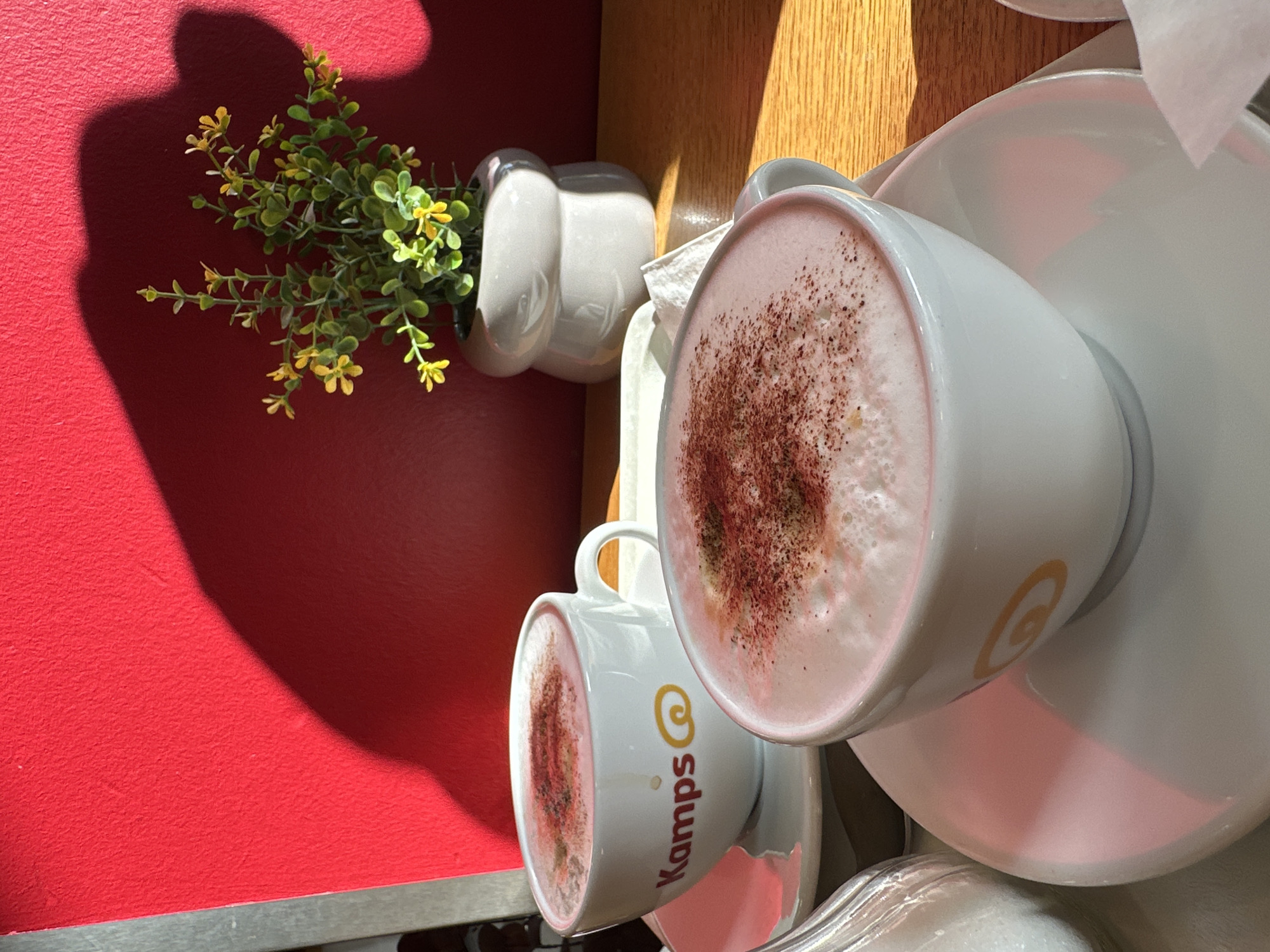 A close-up, eye-level shot shows two white ceramic cups of coffee, topped with frothy milk and dusted with cinnamon, resting on white saucers. Both cups have the "Kamps" logo printed on them in red and orange. The cups are placed on a wooden table, with the one in the foreground being slightly closer to the viewer. To the left, a clear glass container filled with white granular material, likely sugar, is partially visible. In the background, a vibrant red wall serves as a backdrop, with a shadow cast from an unseen object, possibly a plant or architectural element. A small potted plant with green leaves and yellow flowers sits on the table to the right, in front of the red wall, and is casting a distinct shadow. The lighting suggests it is daytime, with sunlight creating bright highlights and deep shadows. The scene is likely a cafe in Krefeld, Germany, given the "Kamps" branding, as Kamps is a well-known bakery chain with locations in Germany.
